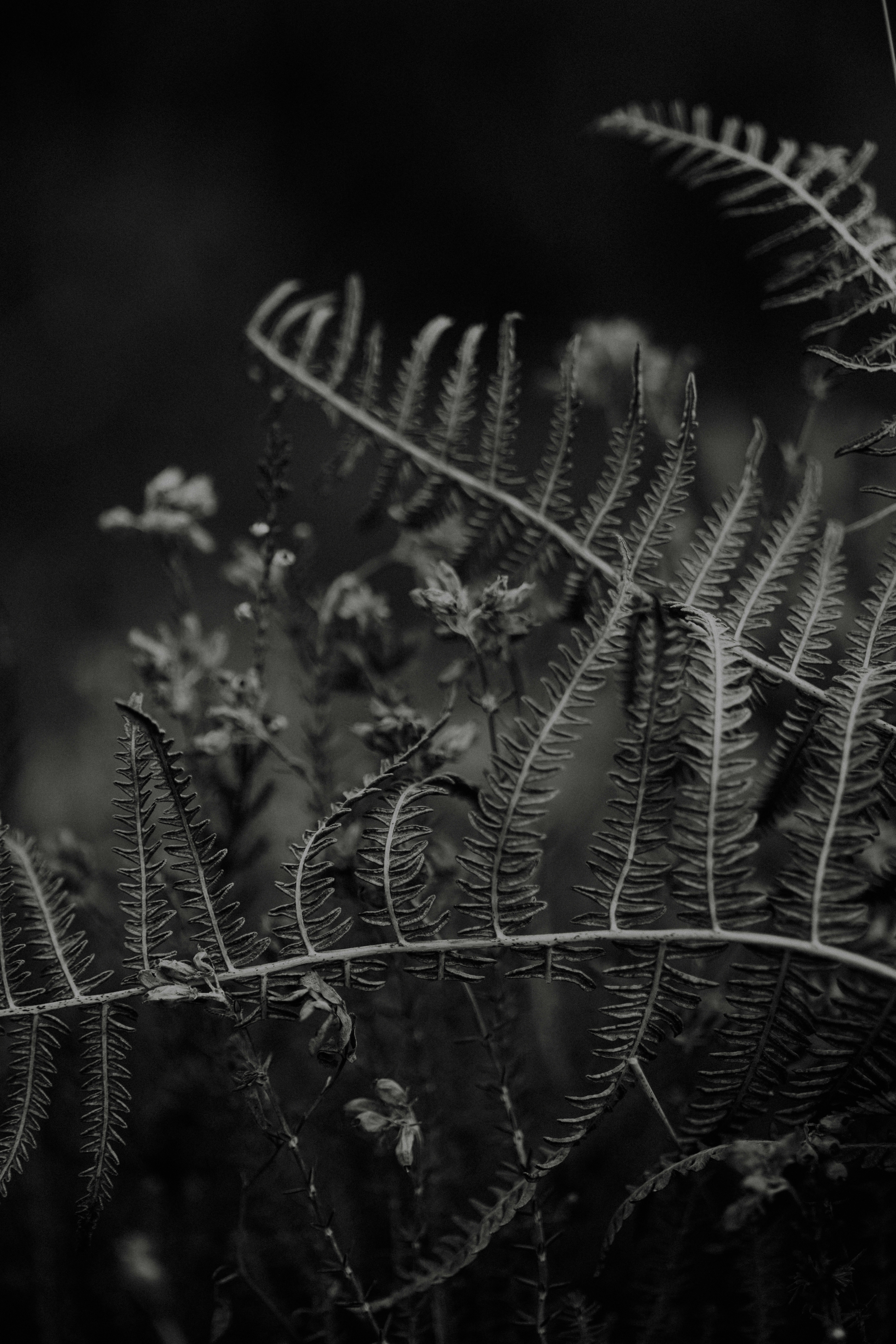 Photo by anniespratt