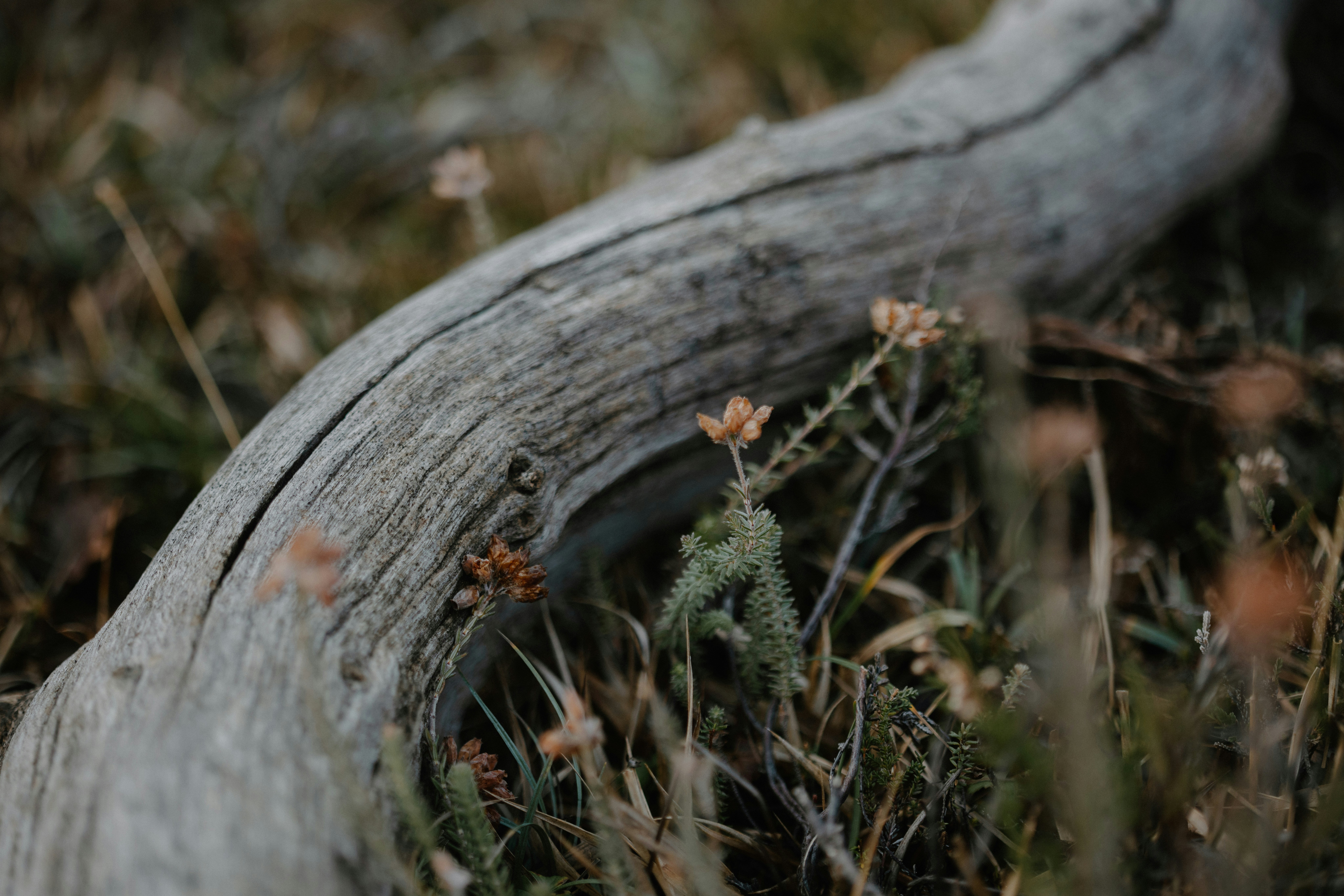 Photo by anniespratt