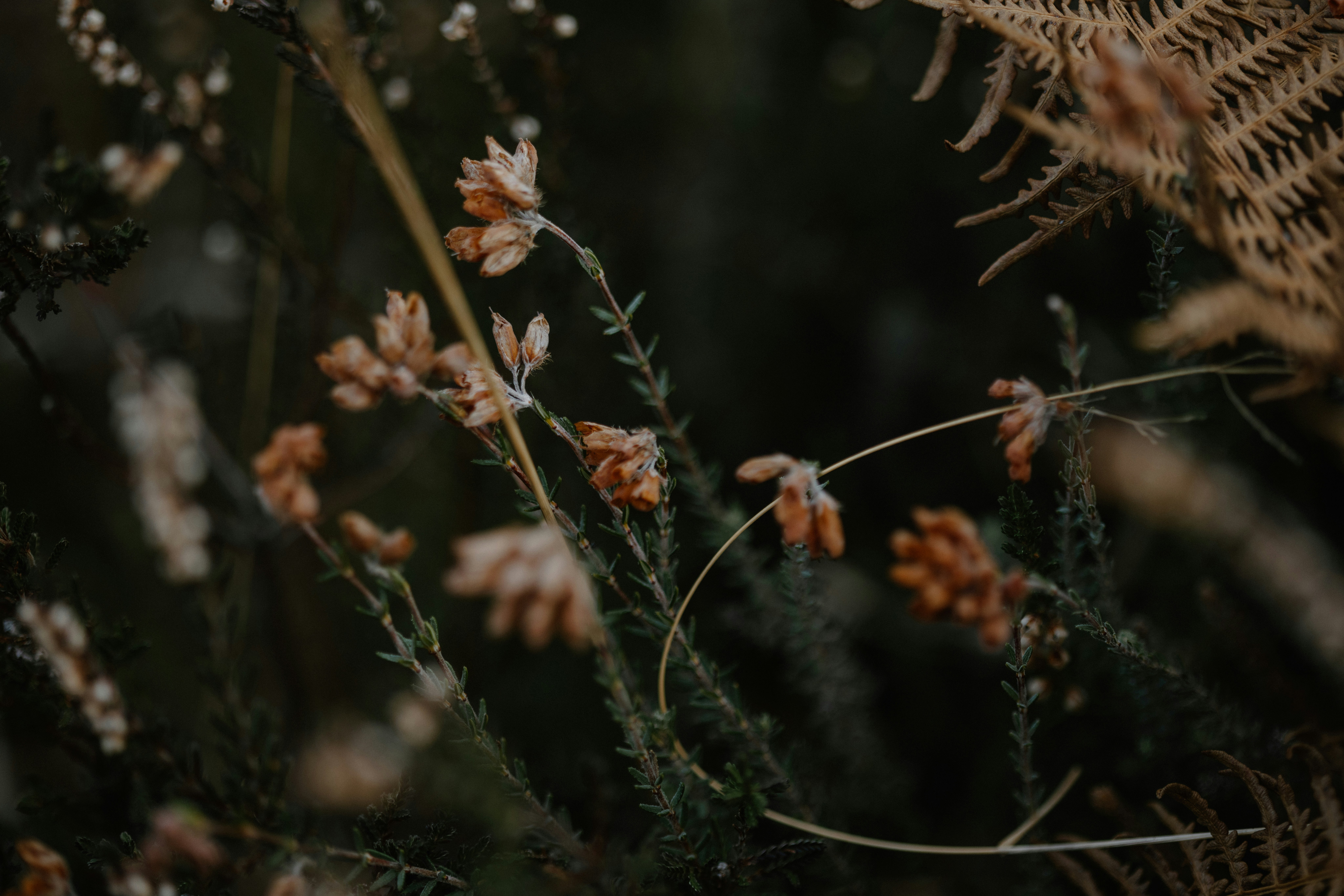 Photo by anniespratt