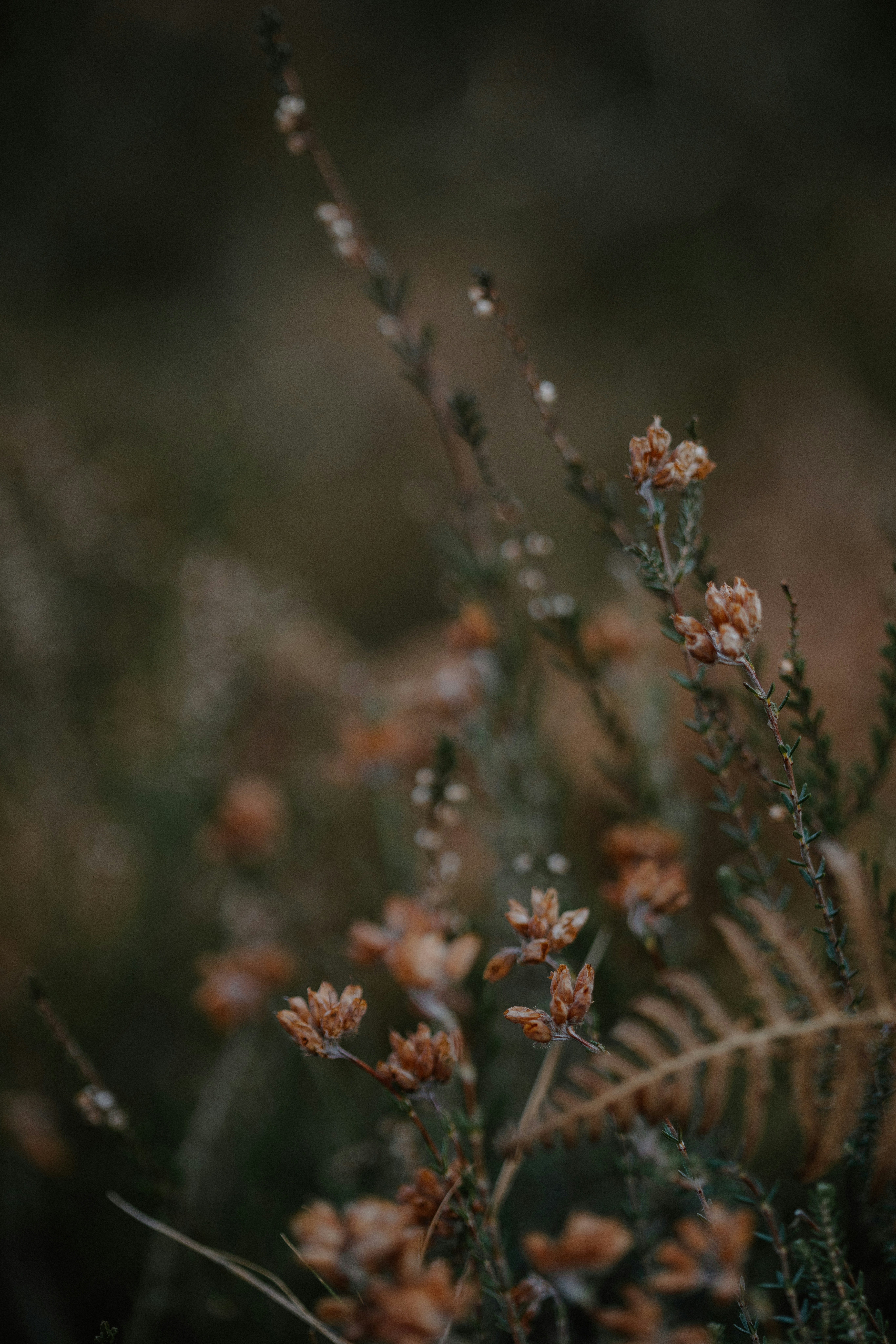 Photo by anniespratt