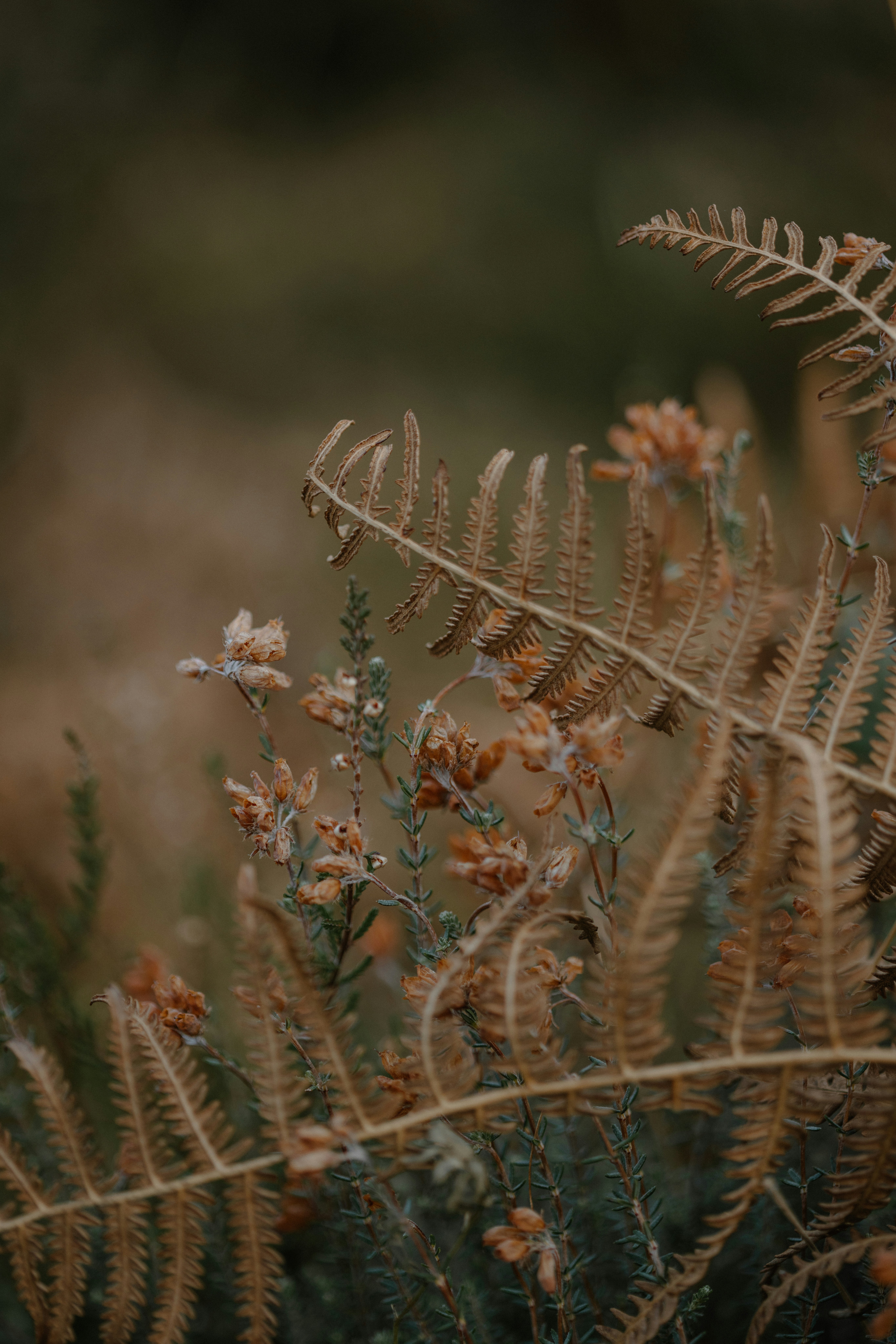 Photo by anniespratt