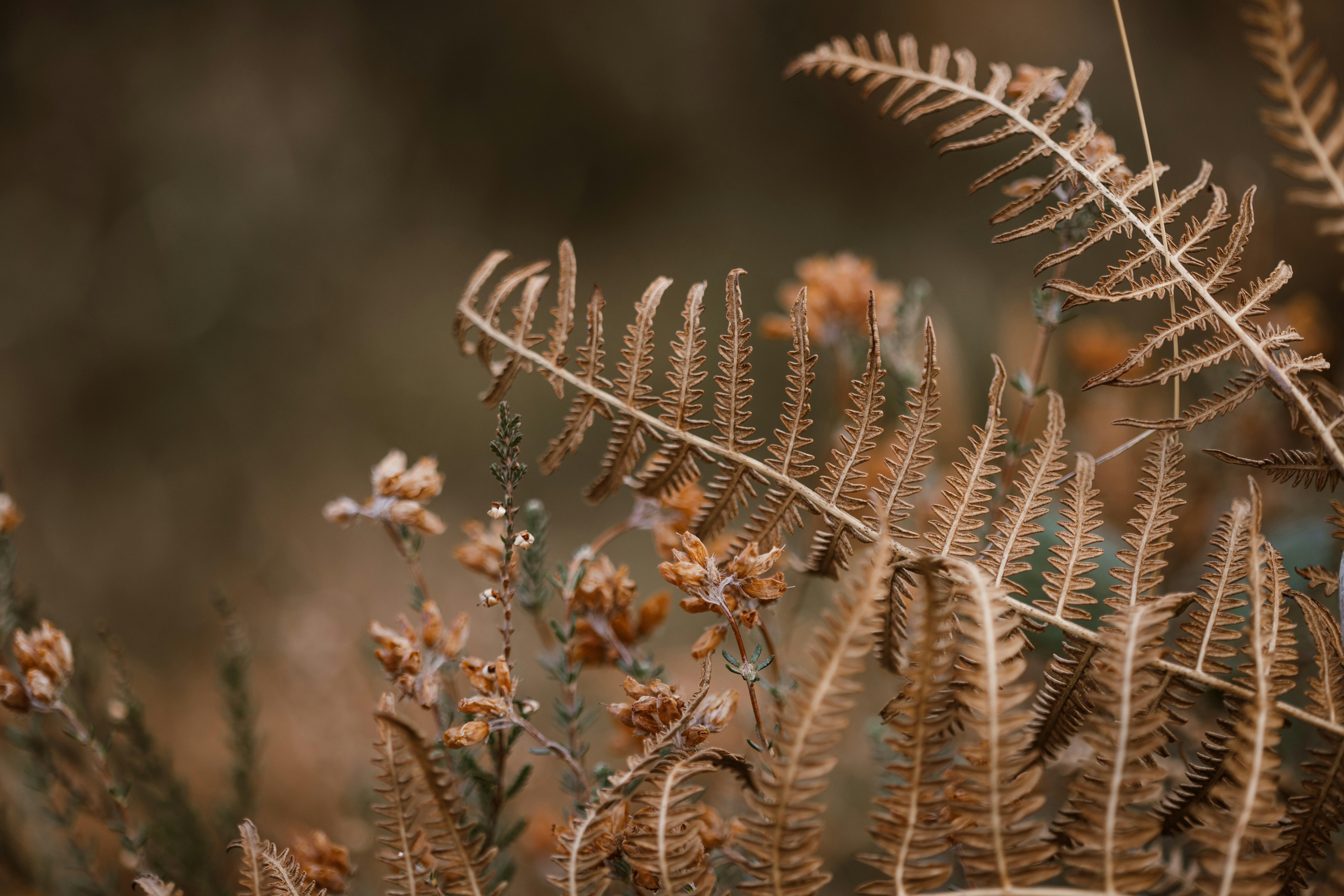 Photo by anniespratt