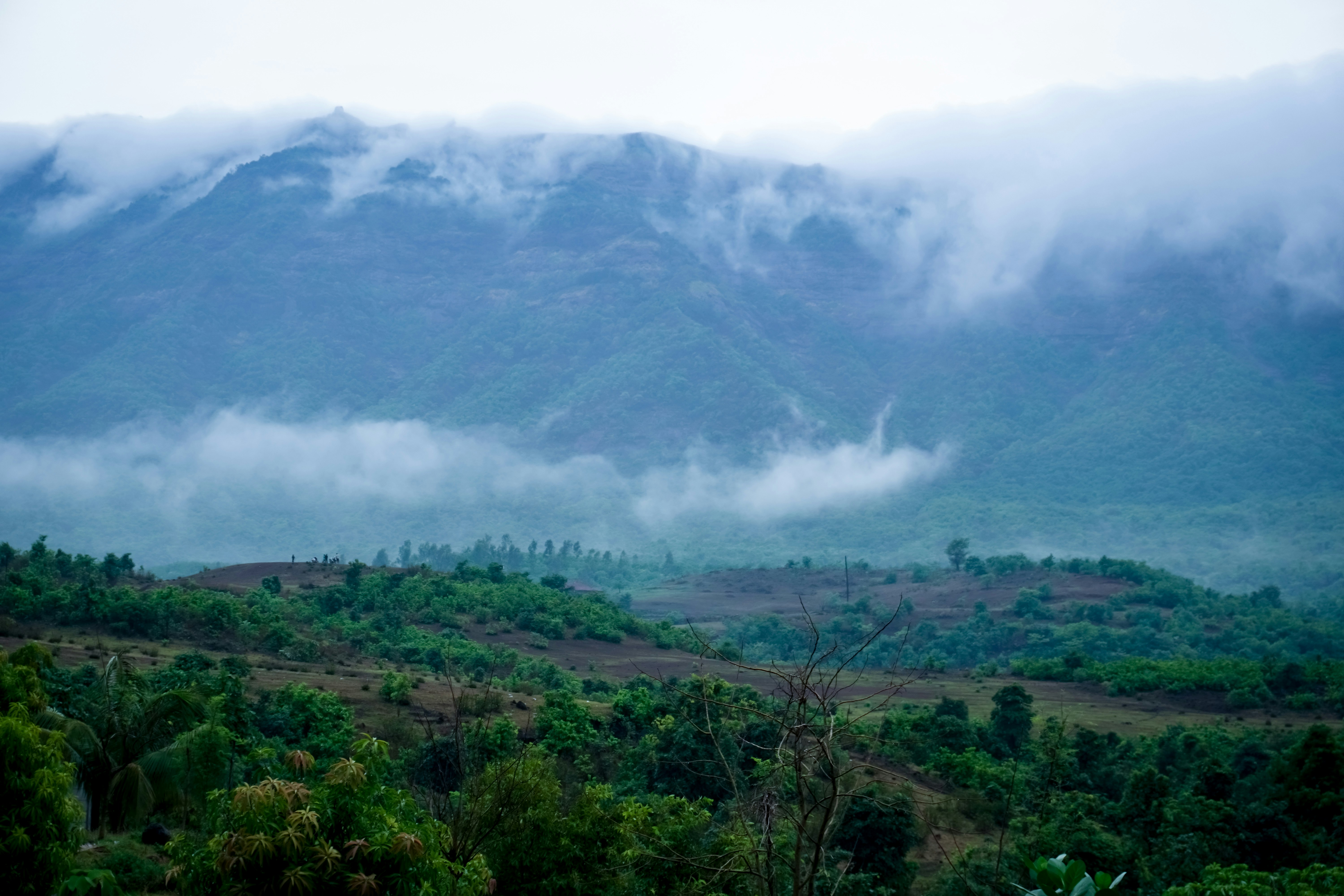 Photo by _muser_photography