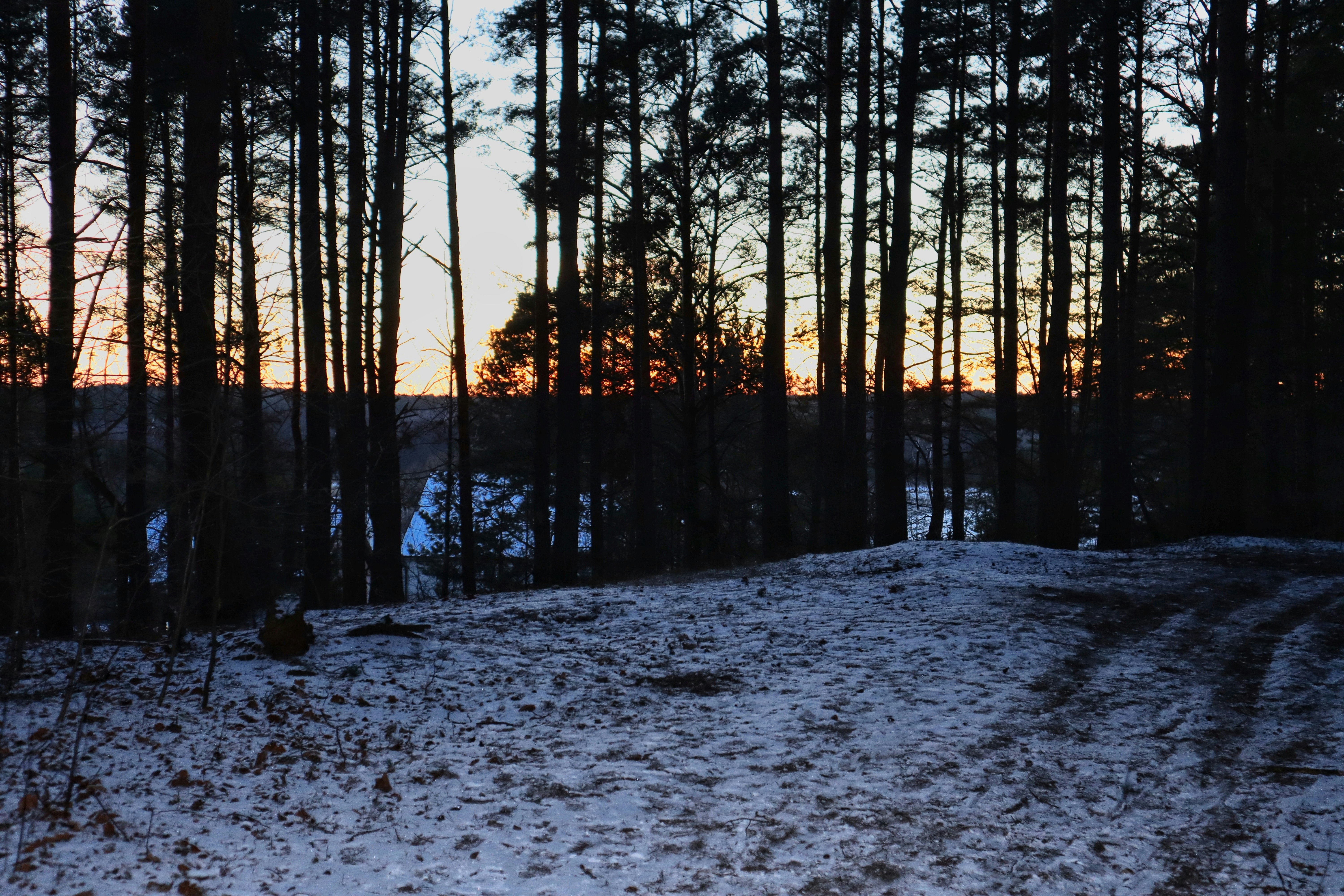 Photo by buzzardsocialpl