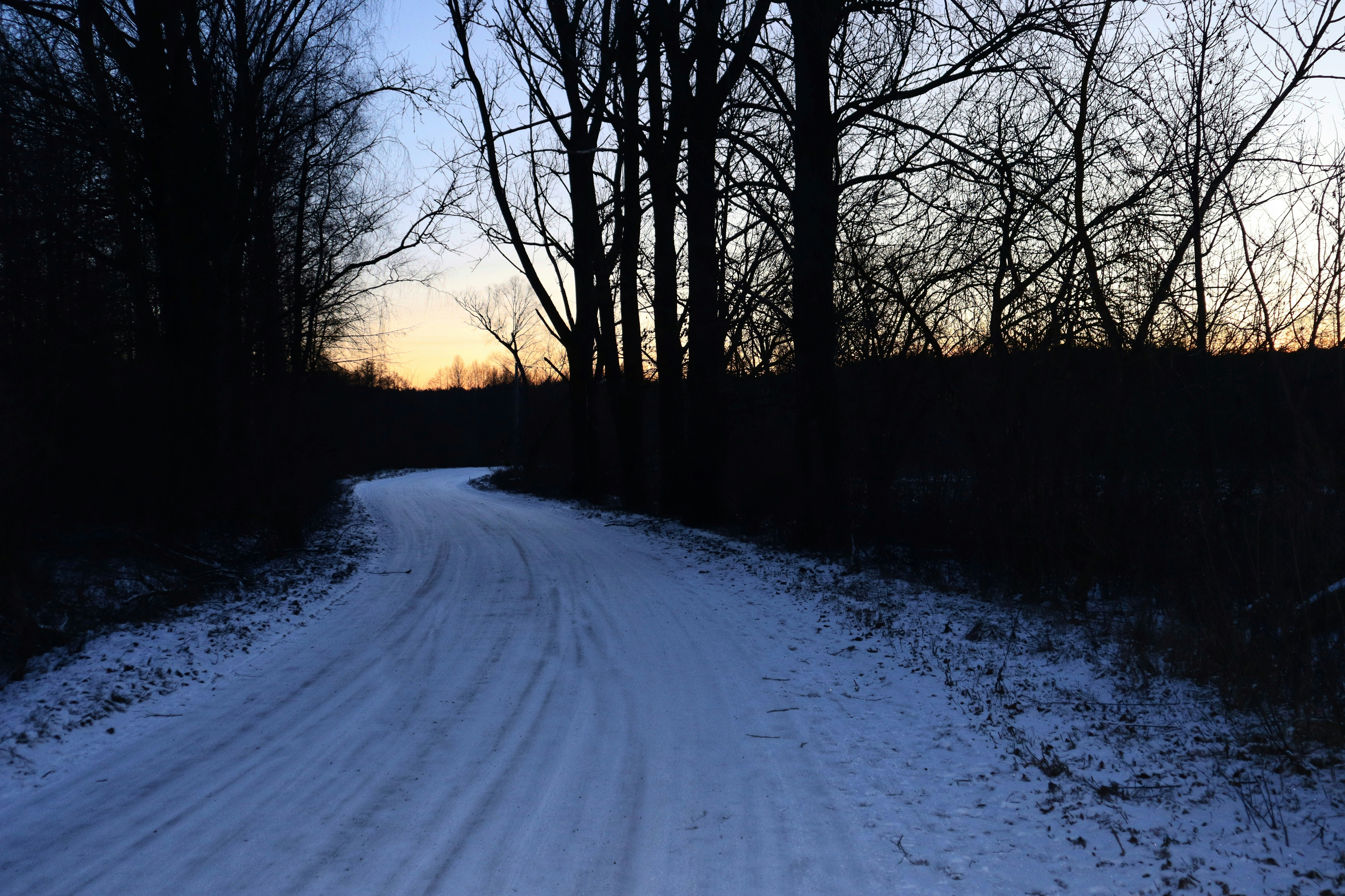 Photo by buzzardsocialpl