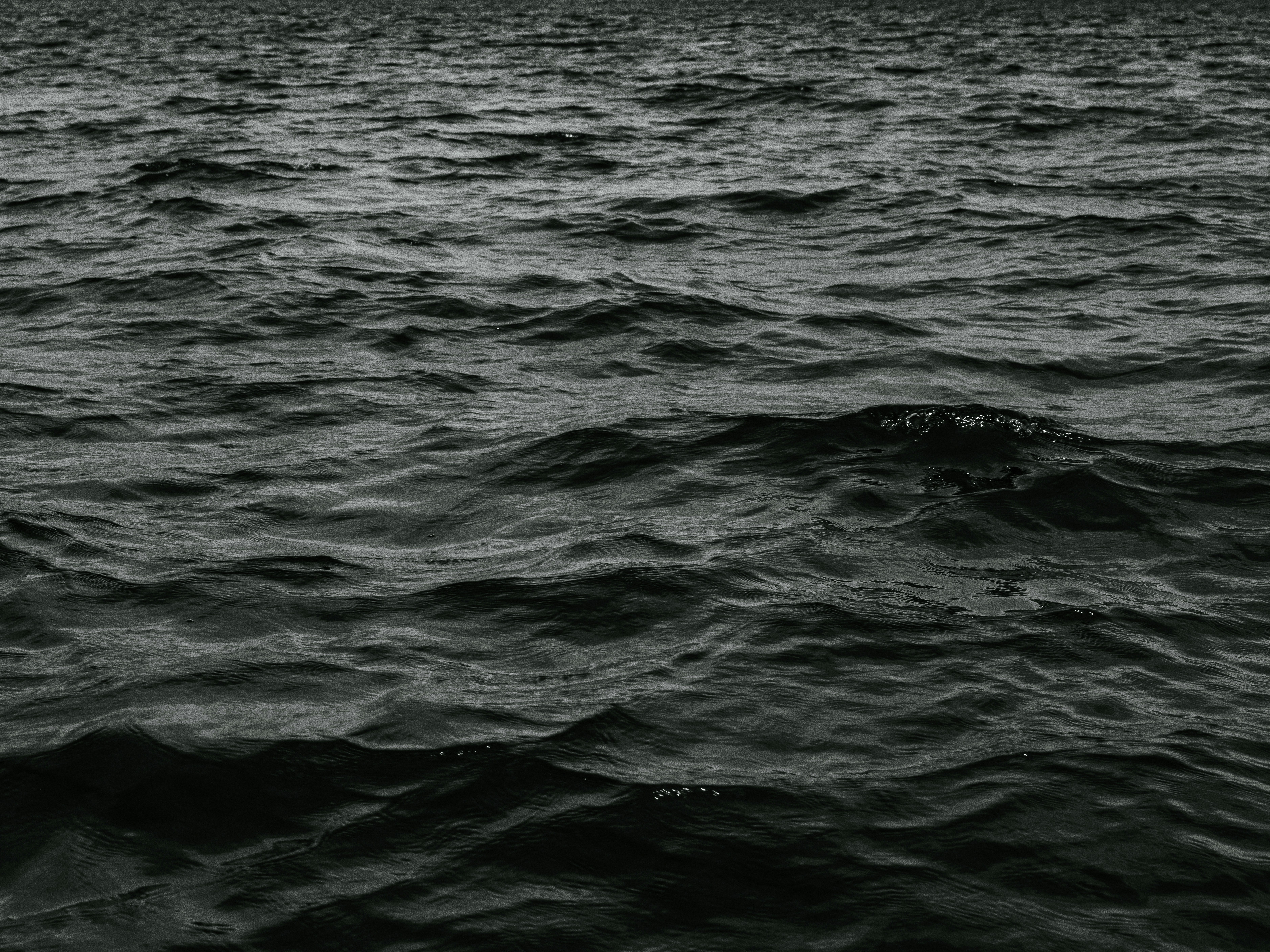 Photo by fabhimantra