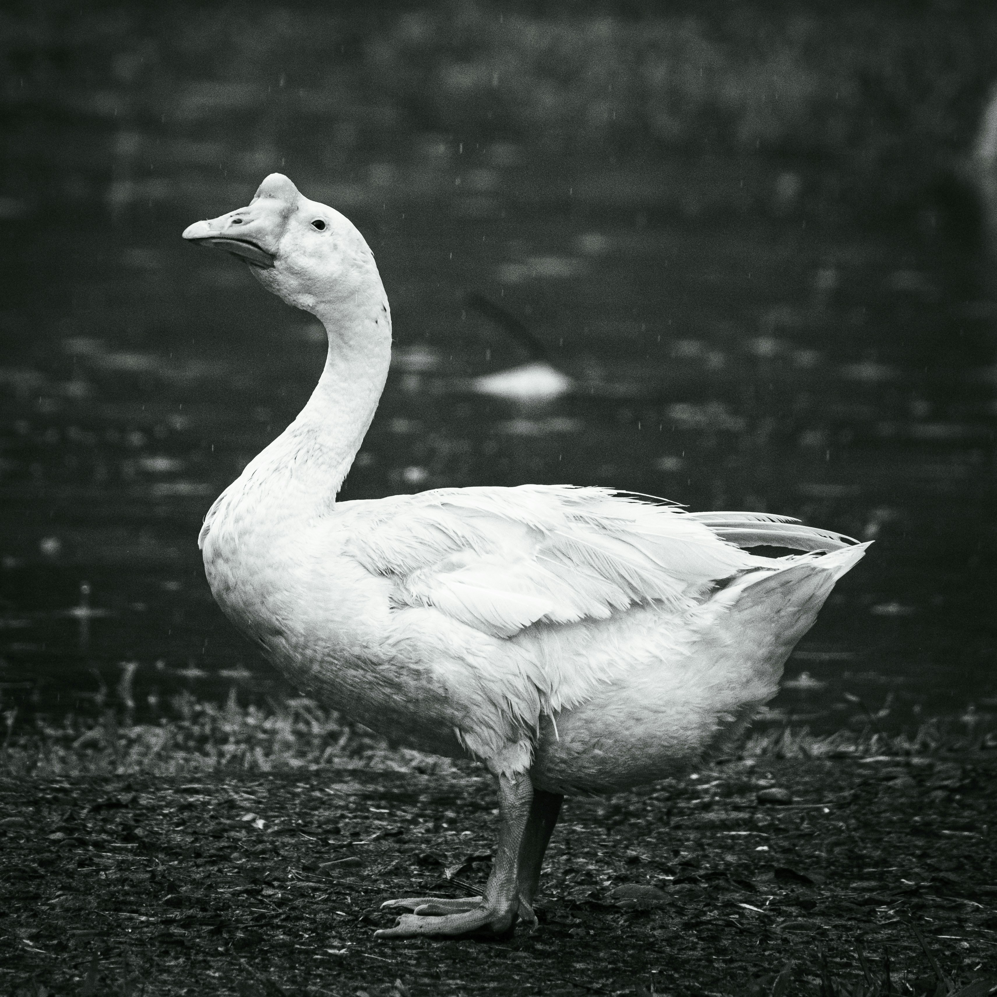 Photo by fabhimantra