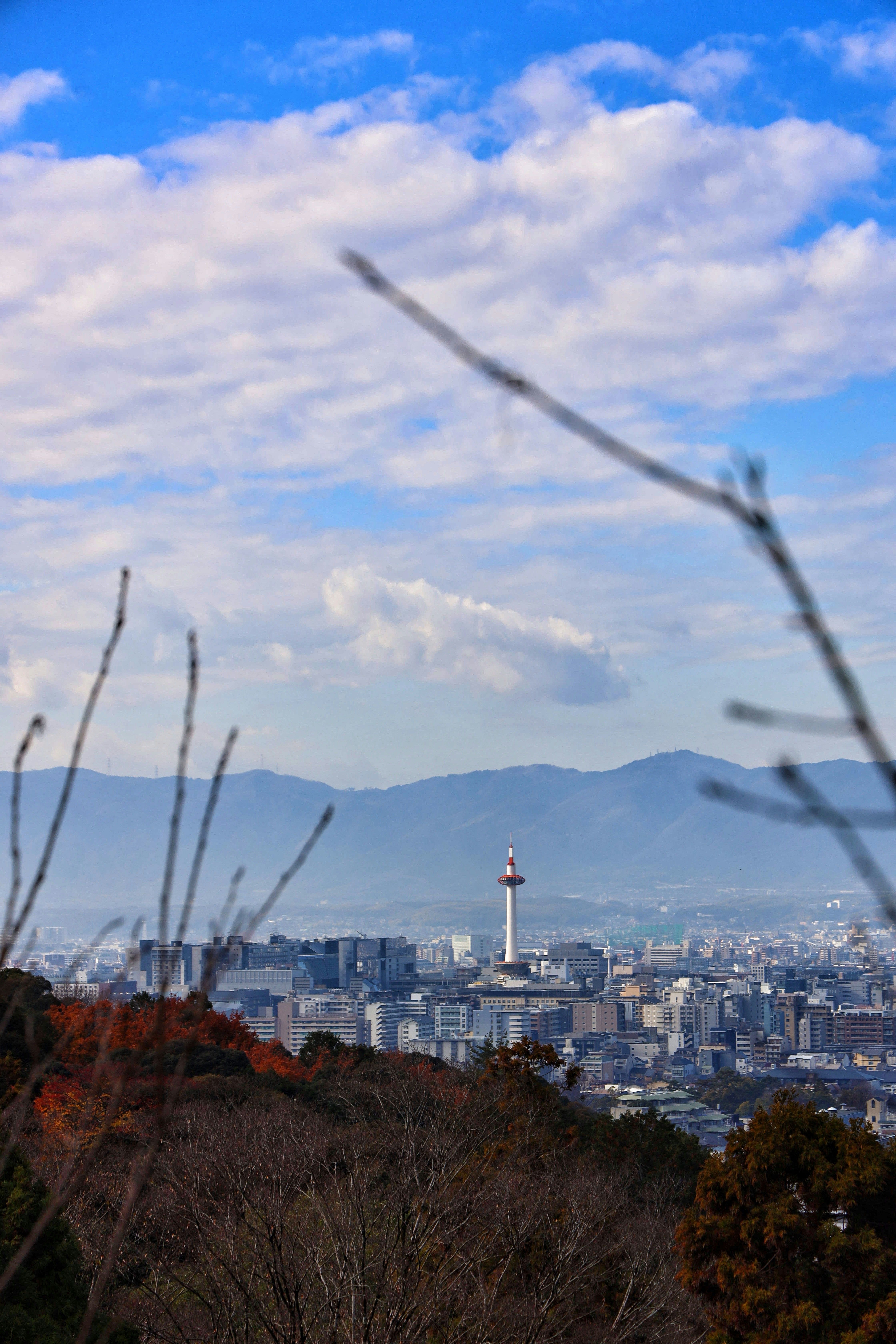 Photo by tommasoubezio