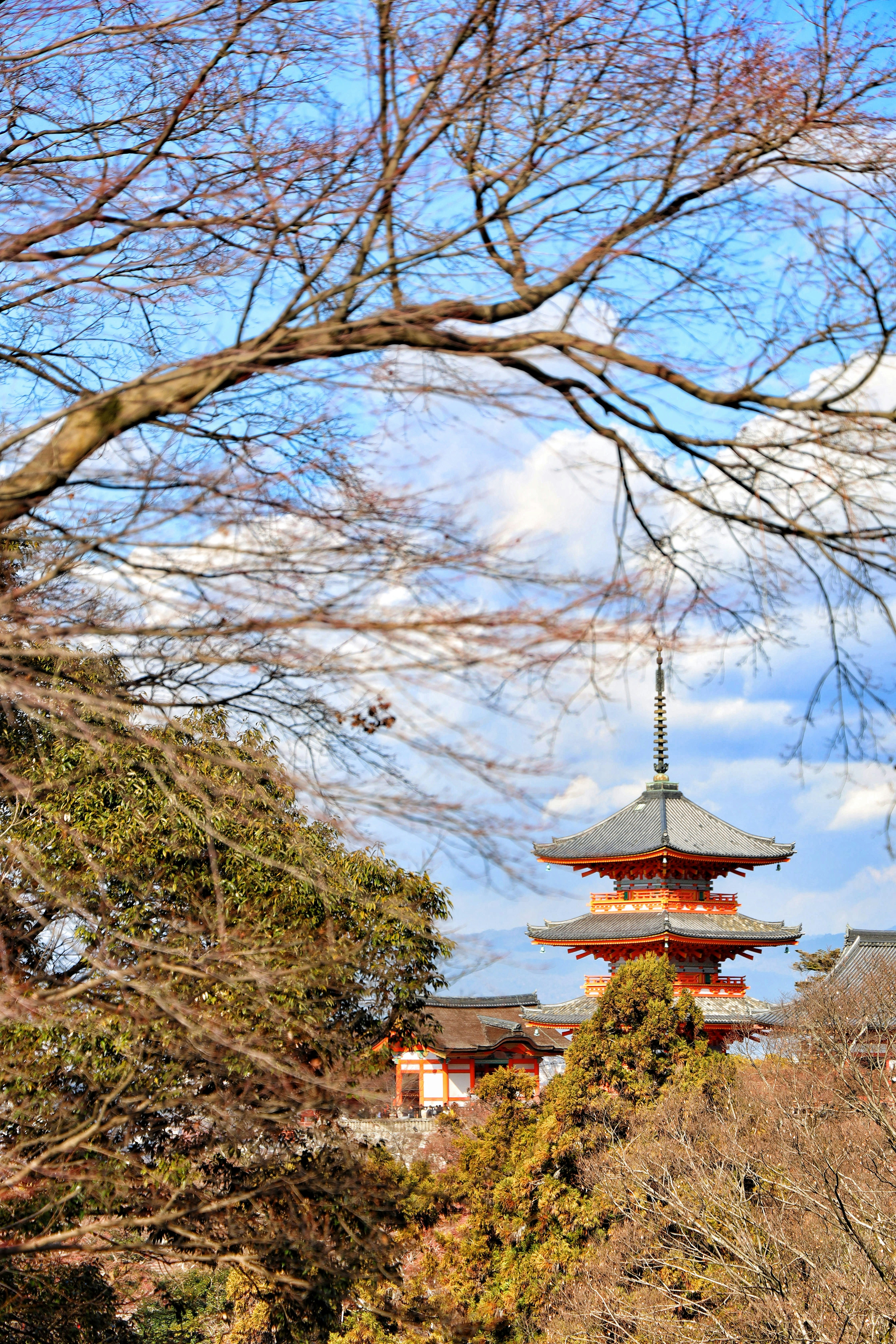 Photo by tommasoubezio