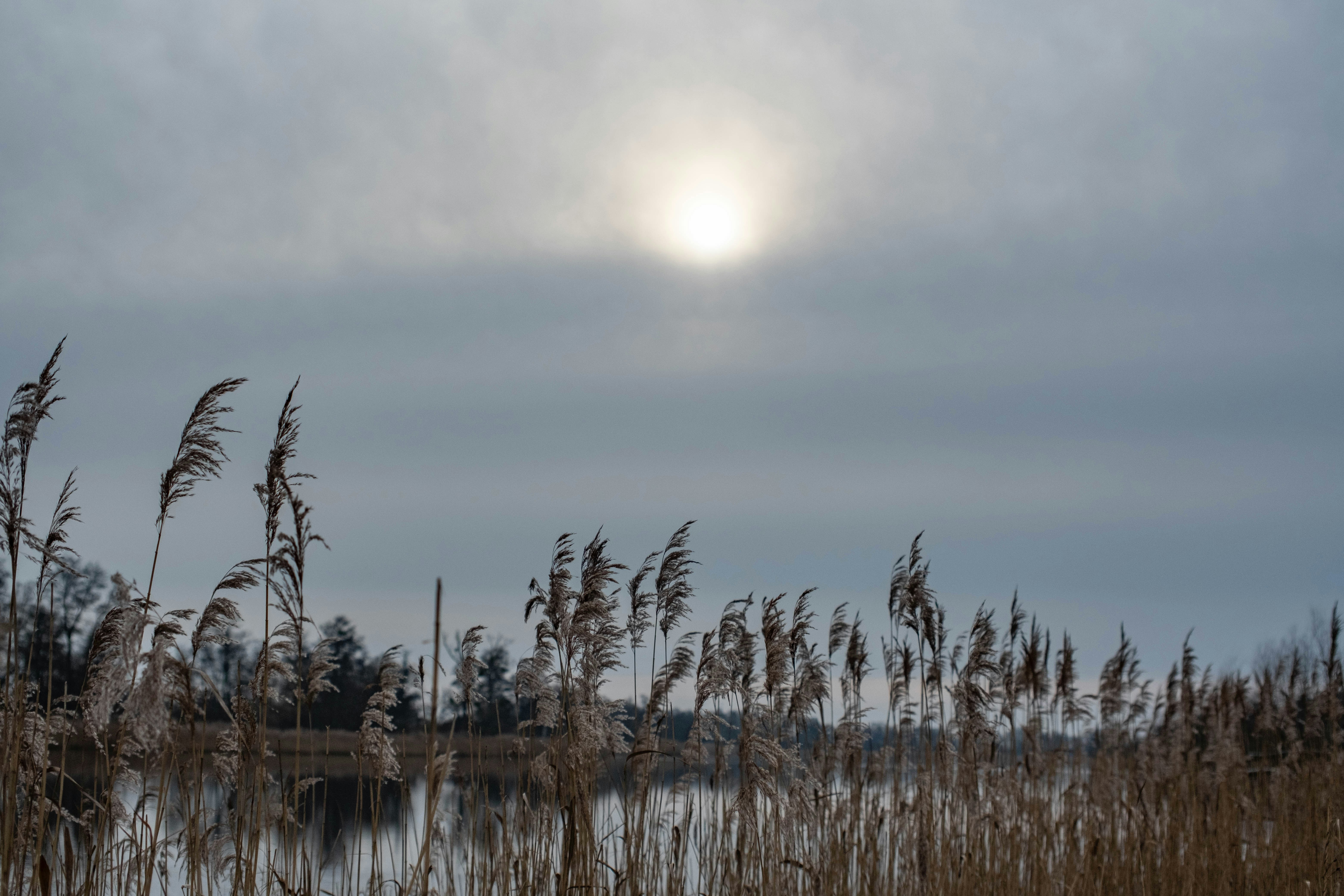 Photo by skajpel