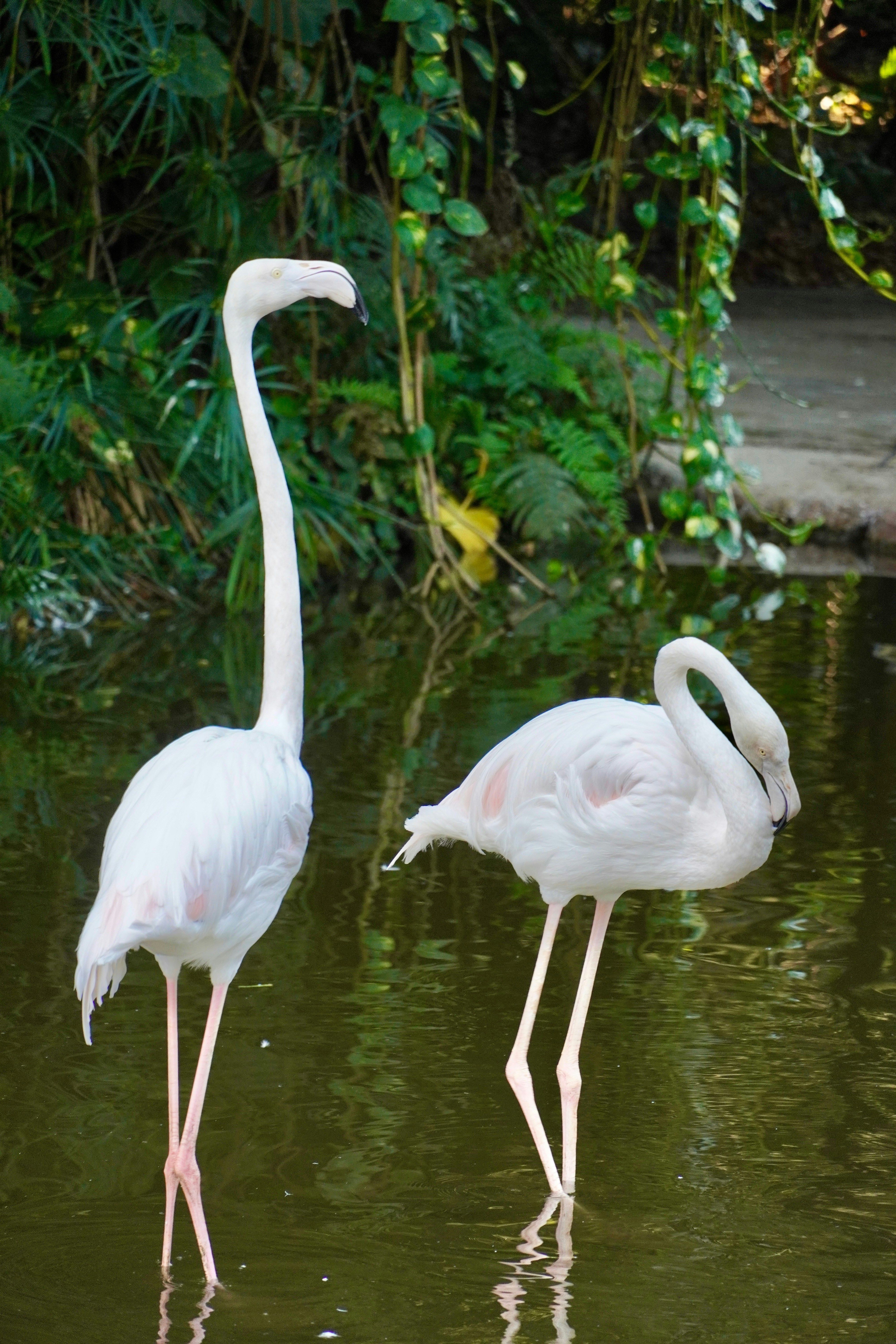 Photo by bubblyslayer