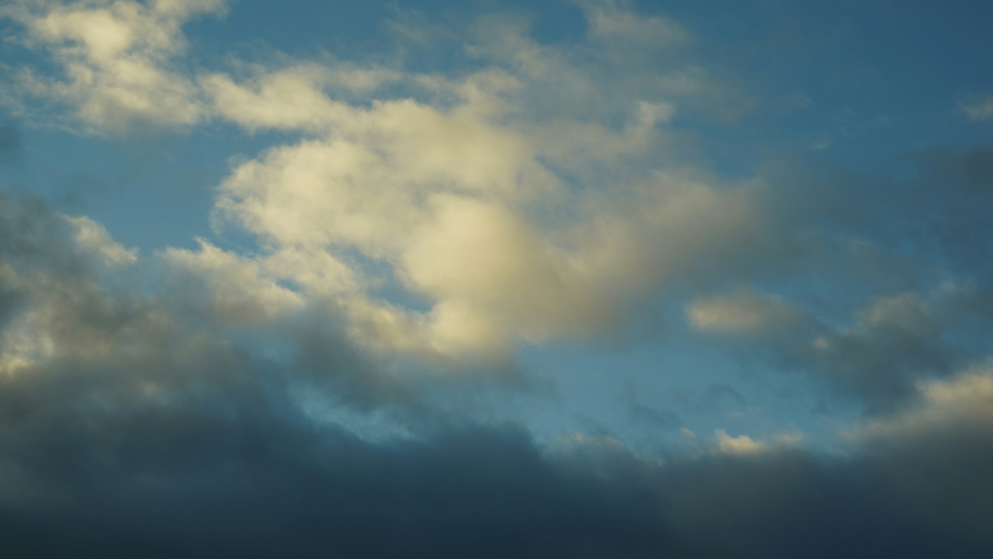 Photo by nathansamani