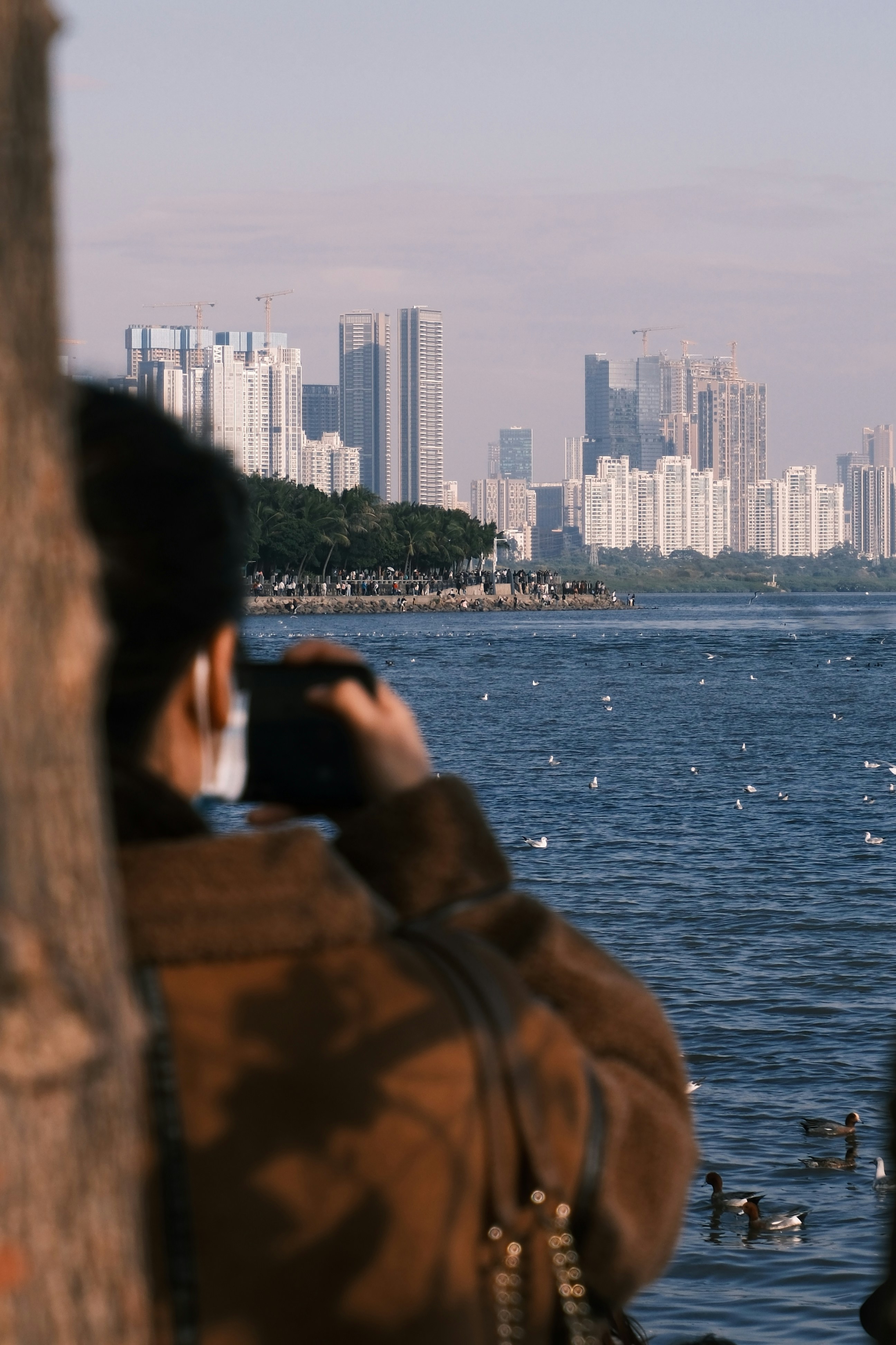 A person taking a picture of a city skyline