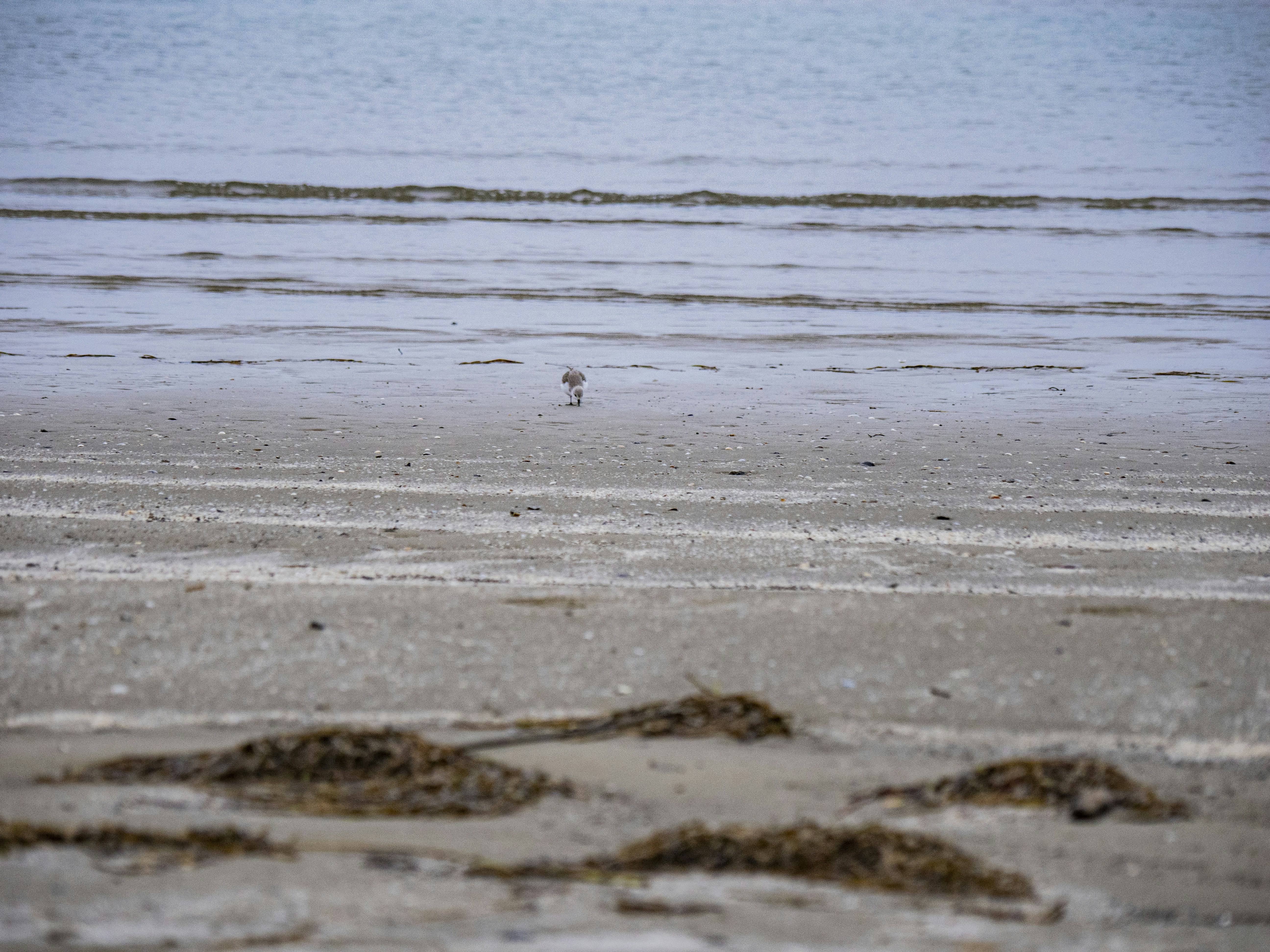 Photo by gopitri_prem