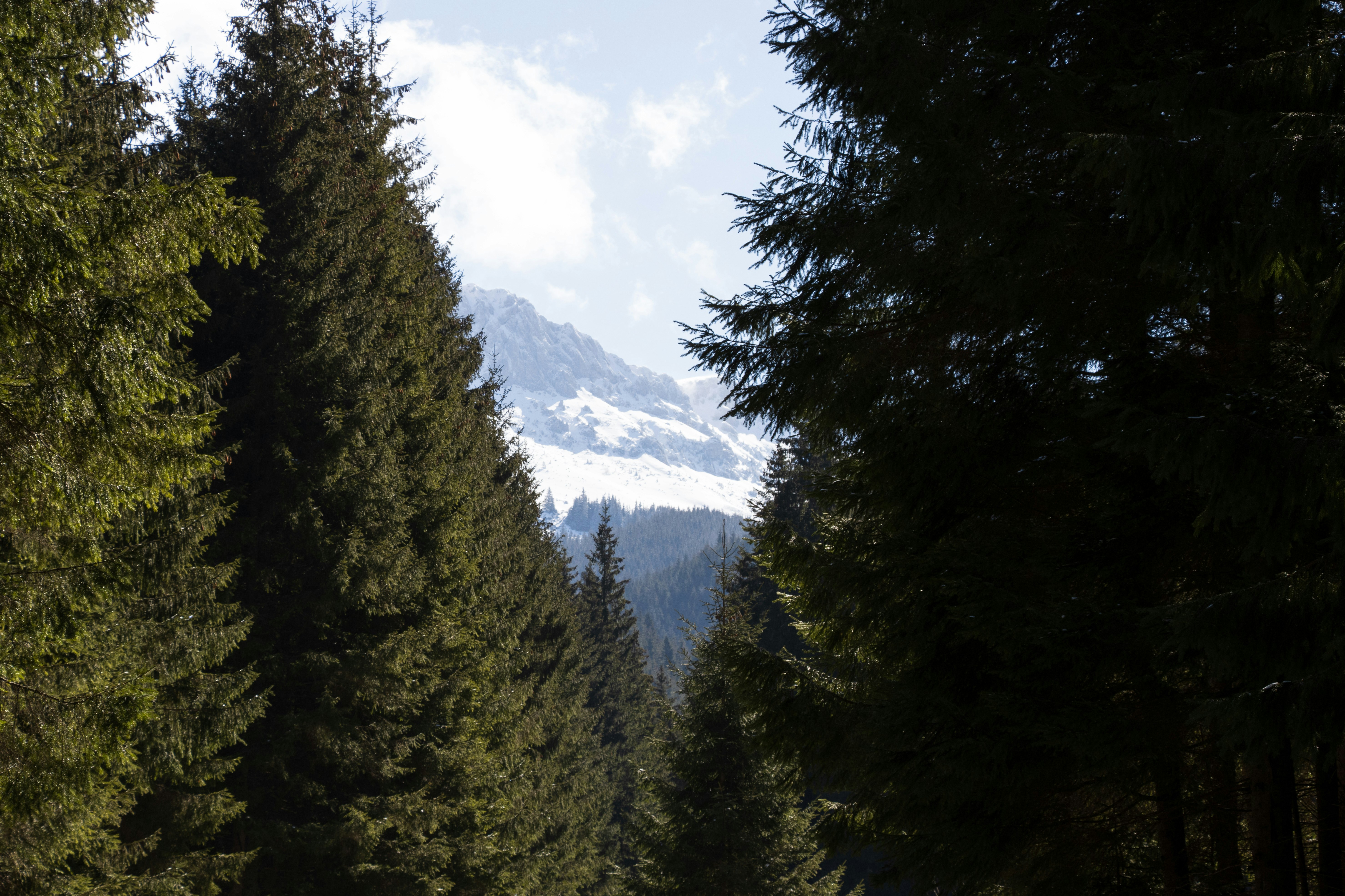 Photo by mechaowlstudios