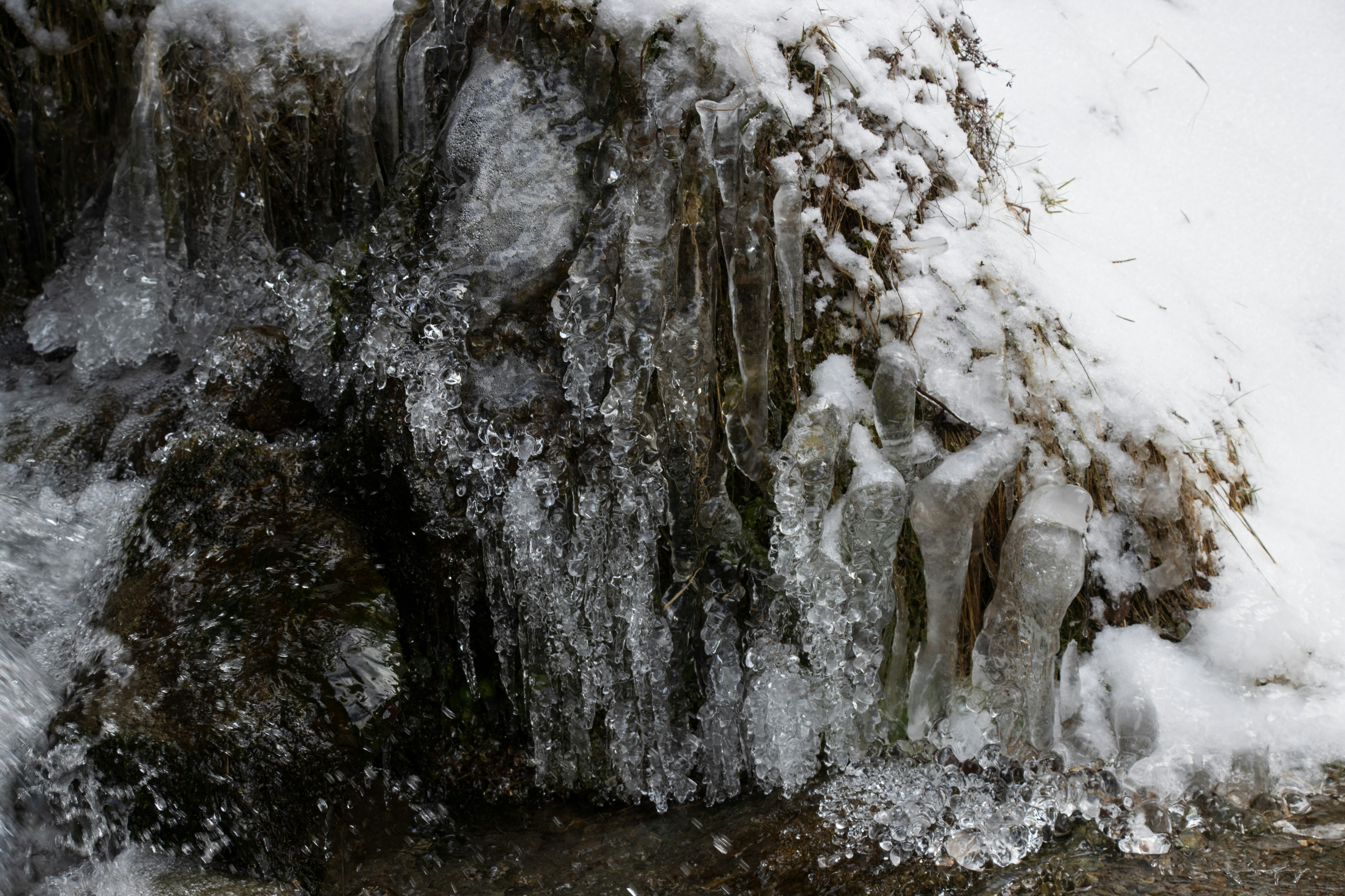 Photo by mechaowlstudios