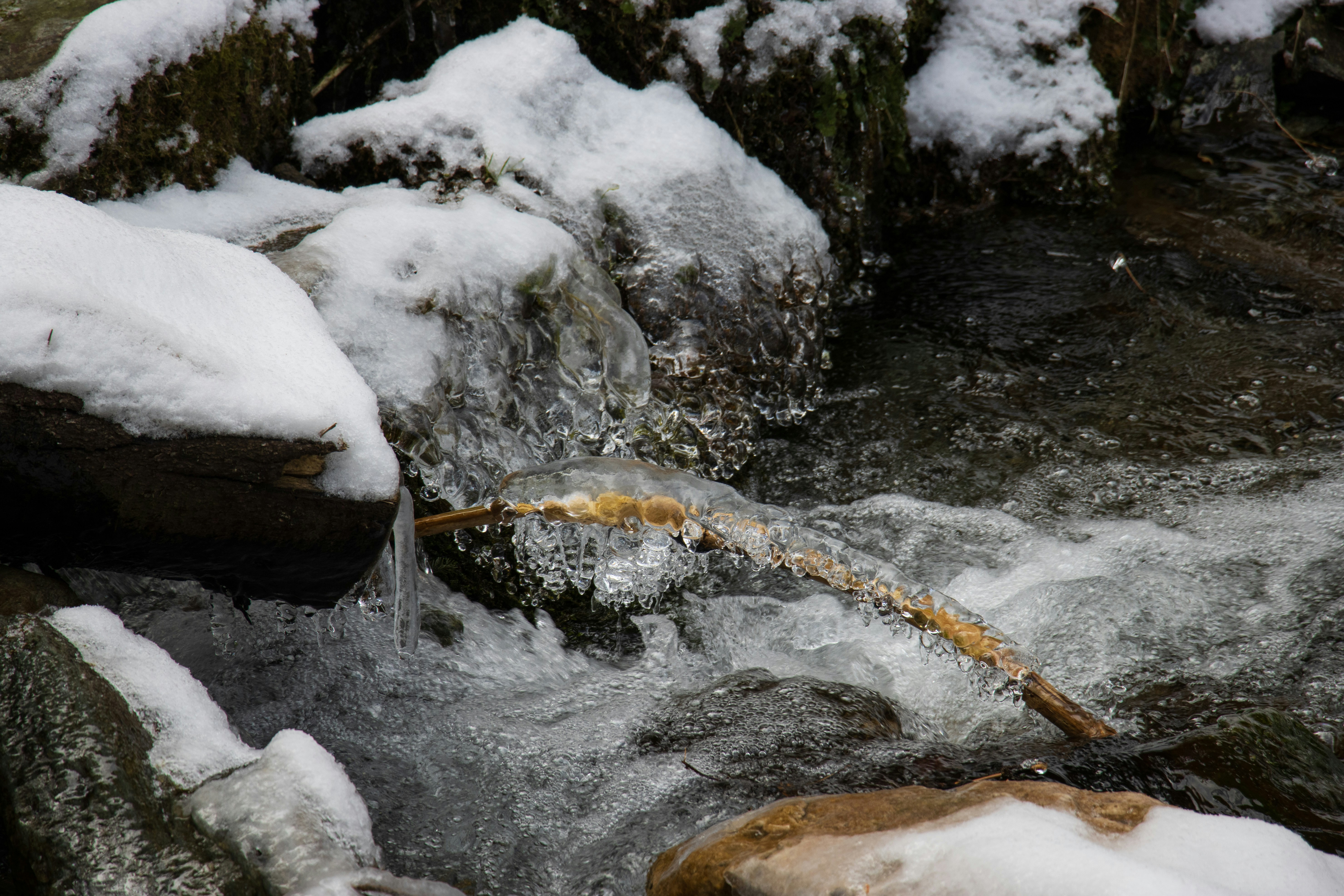 Photo by mechaowlstudios