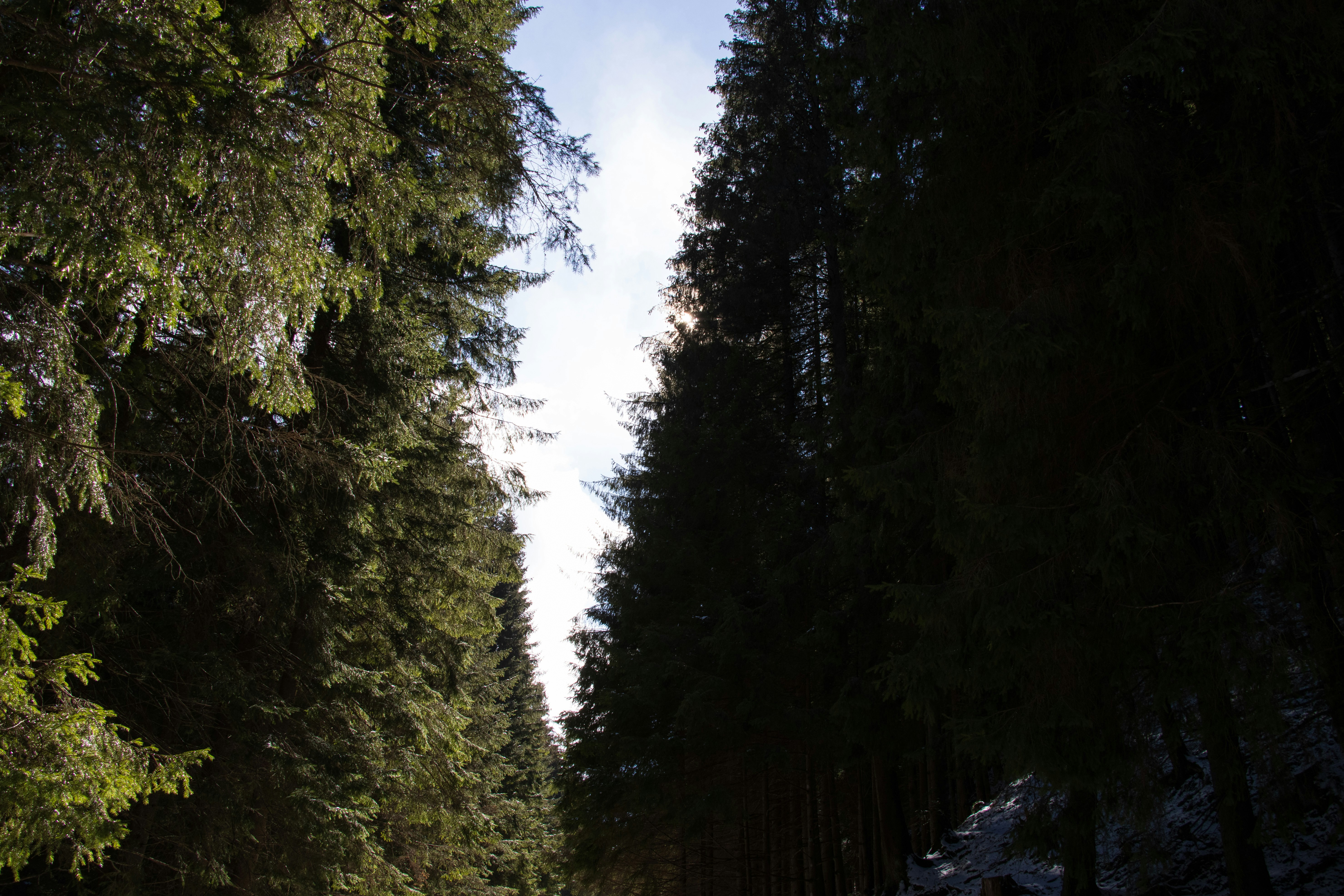 A man riding a snowboard down a snow covered road