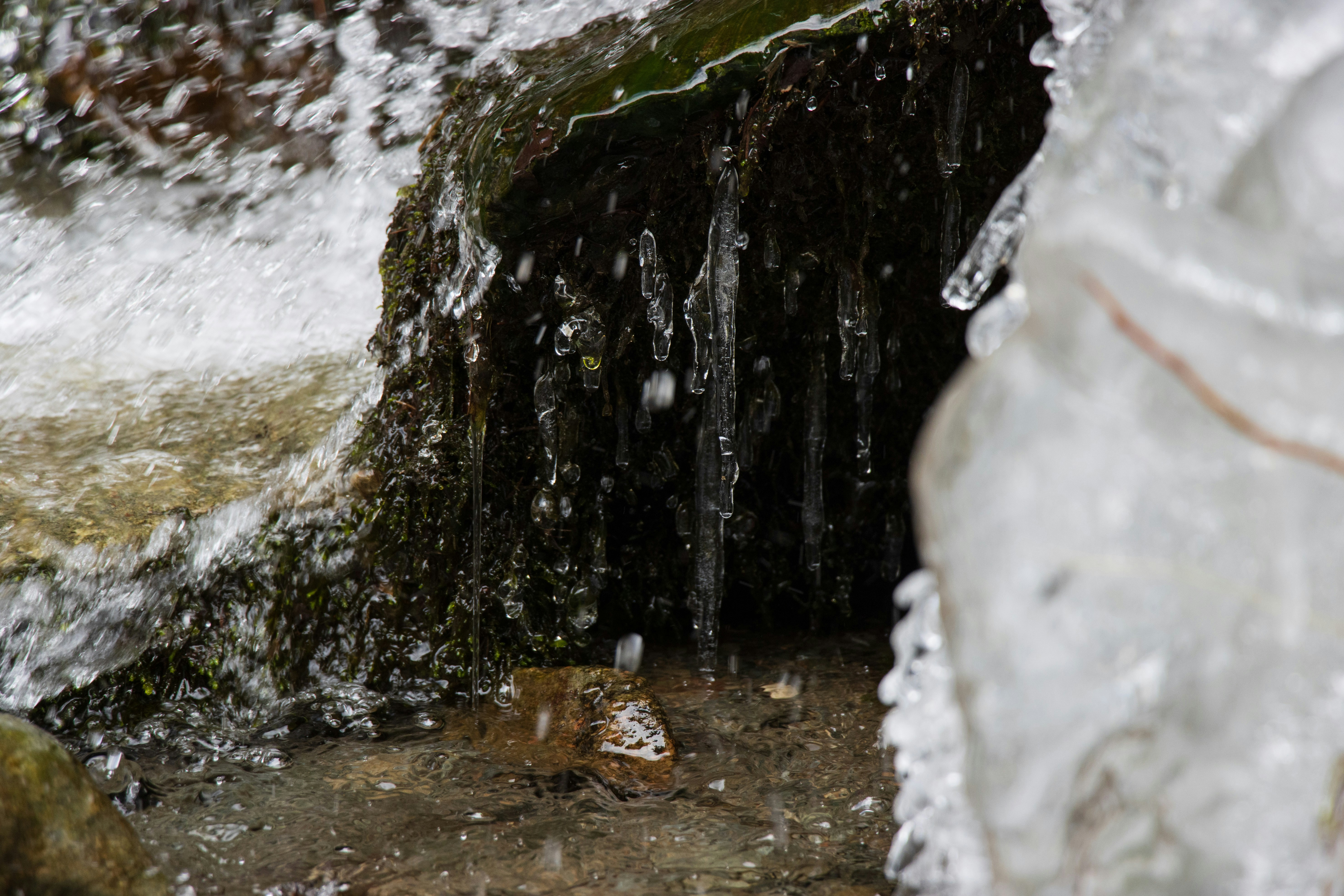 Photo by mechaowlstudios