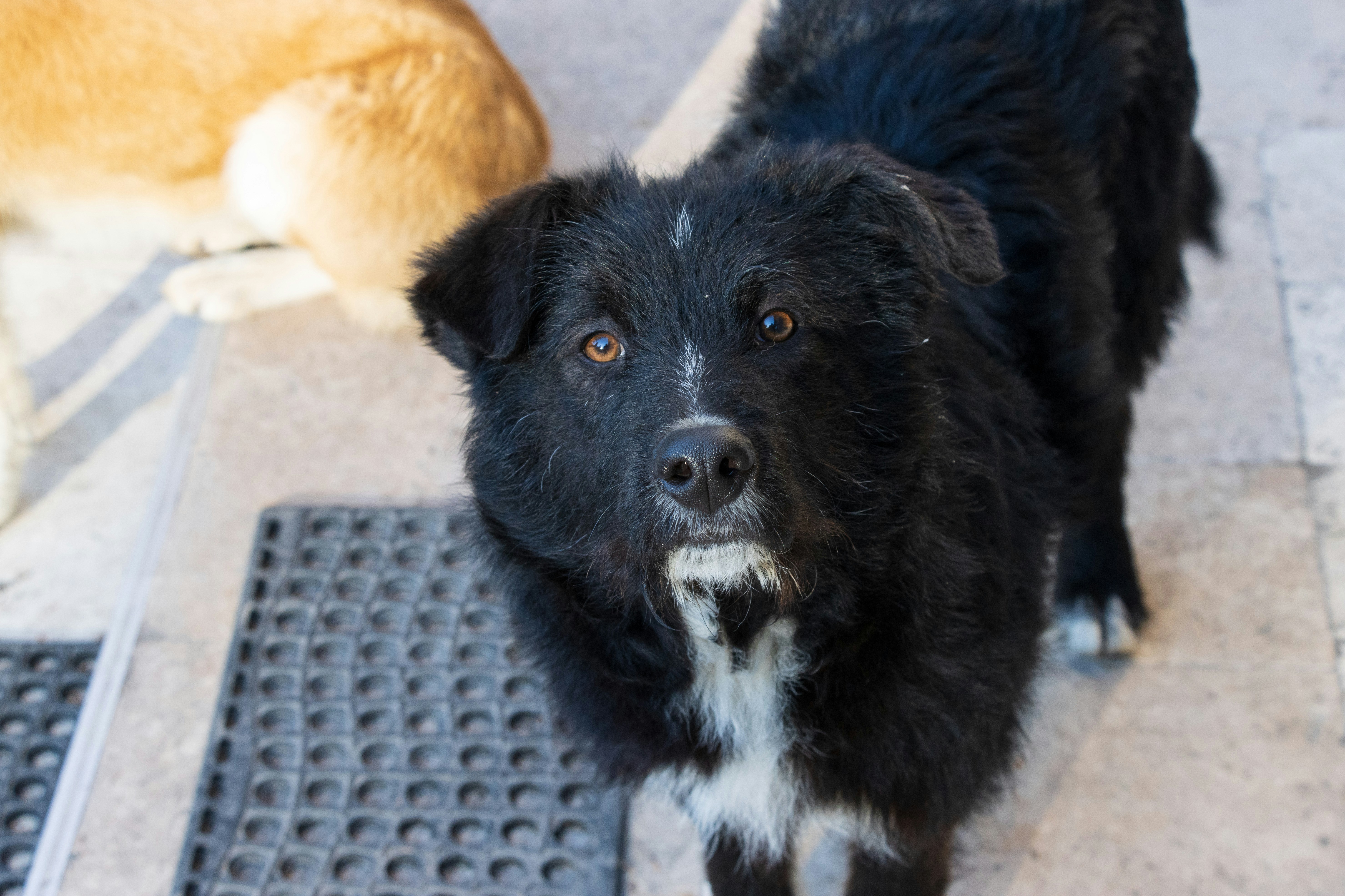 Photo by mechaowlstudios