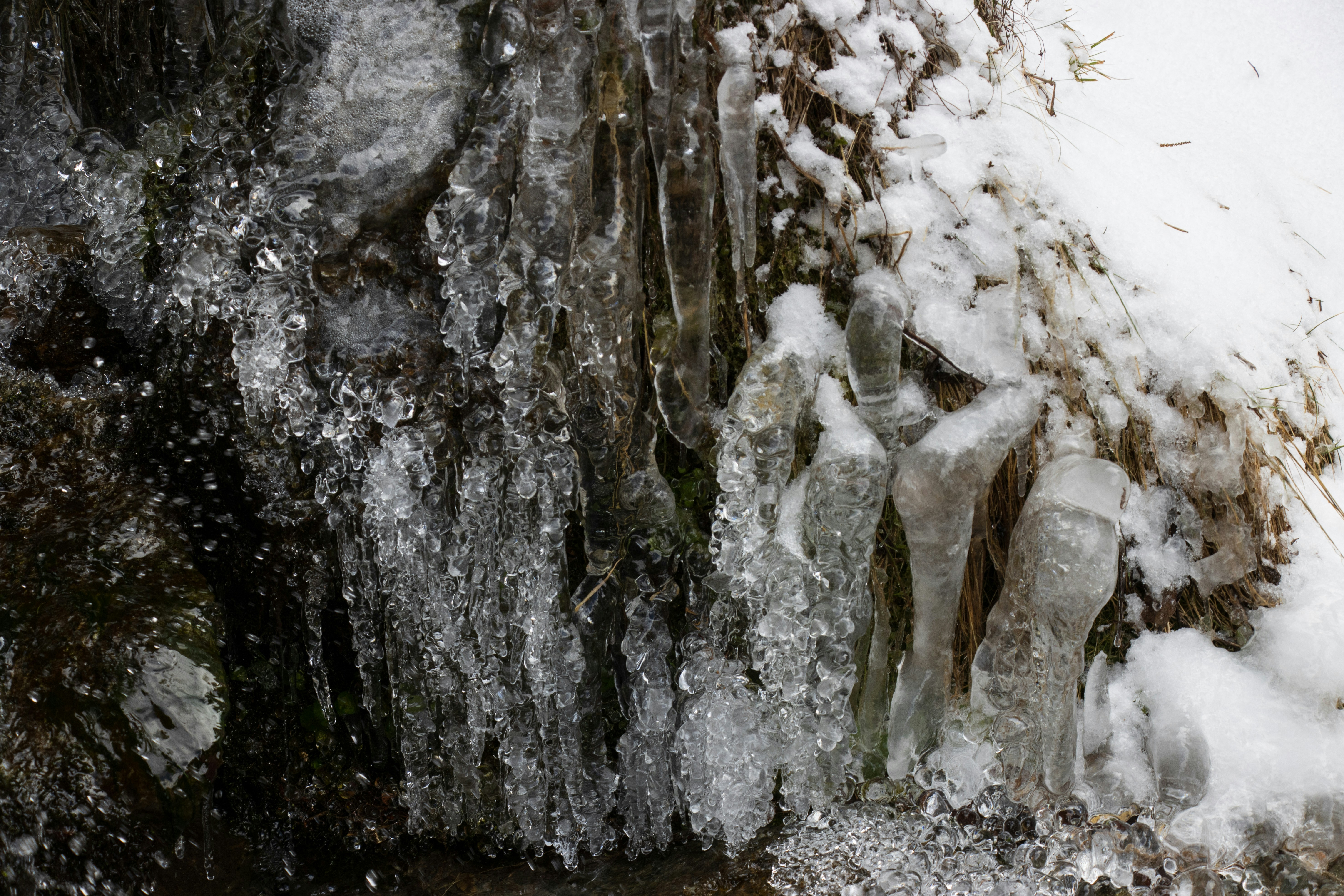 Photo by mechaowlstudios