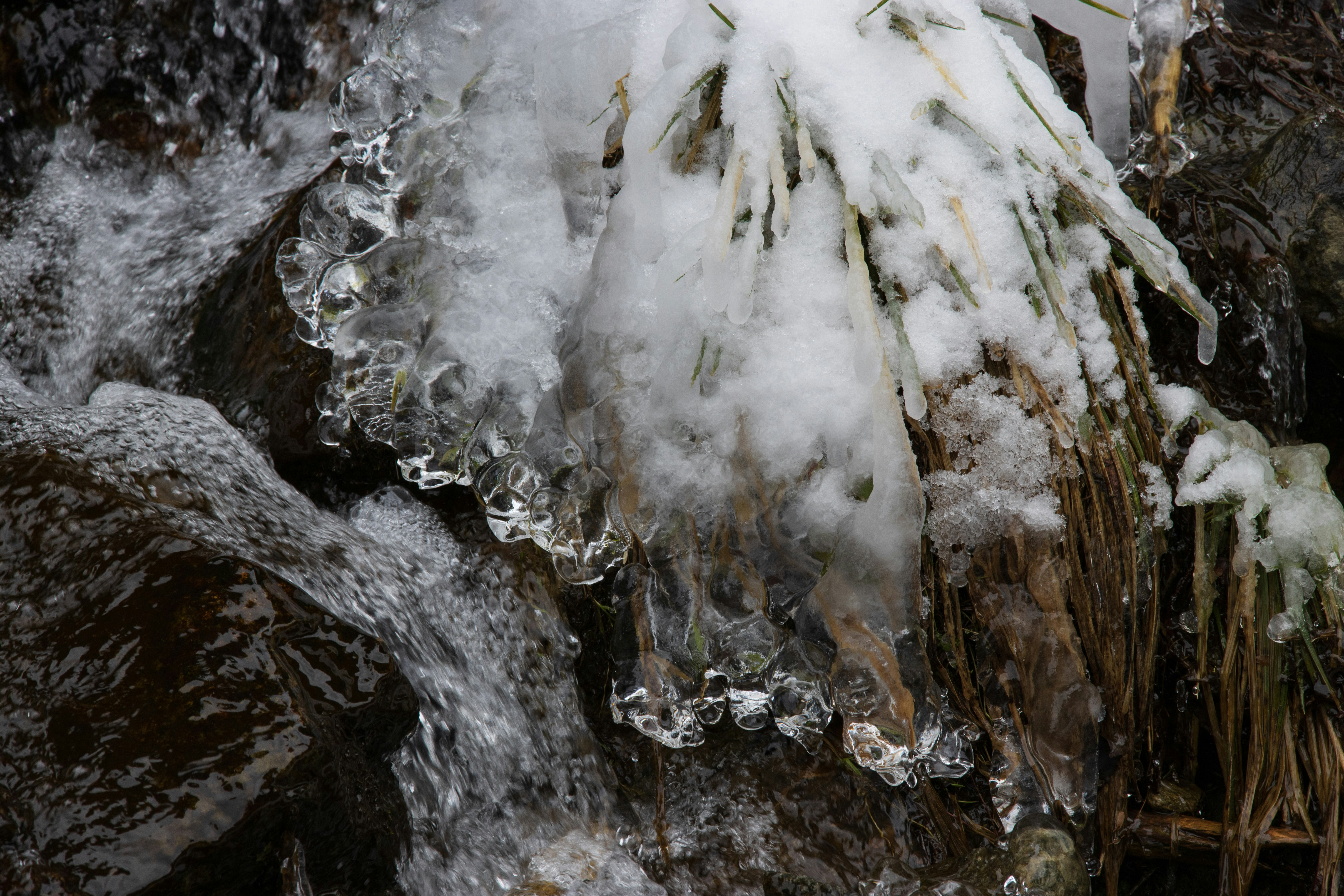 Photo by mechaowlstudios