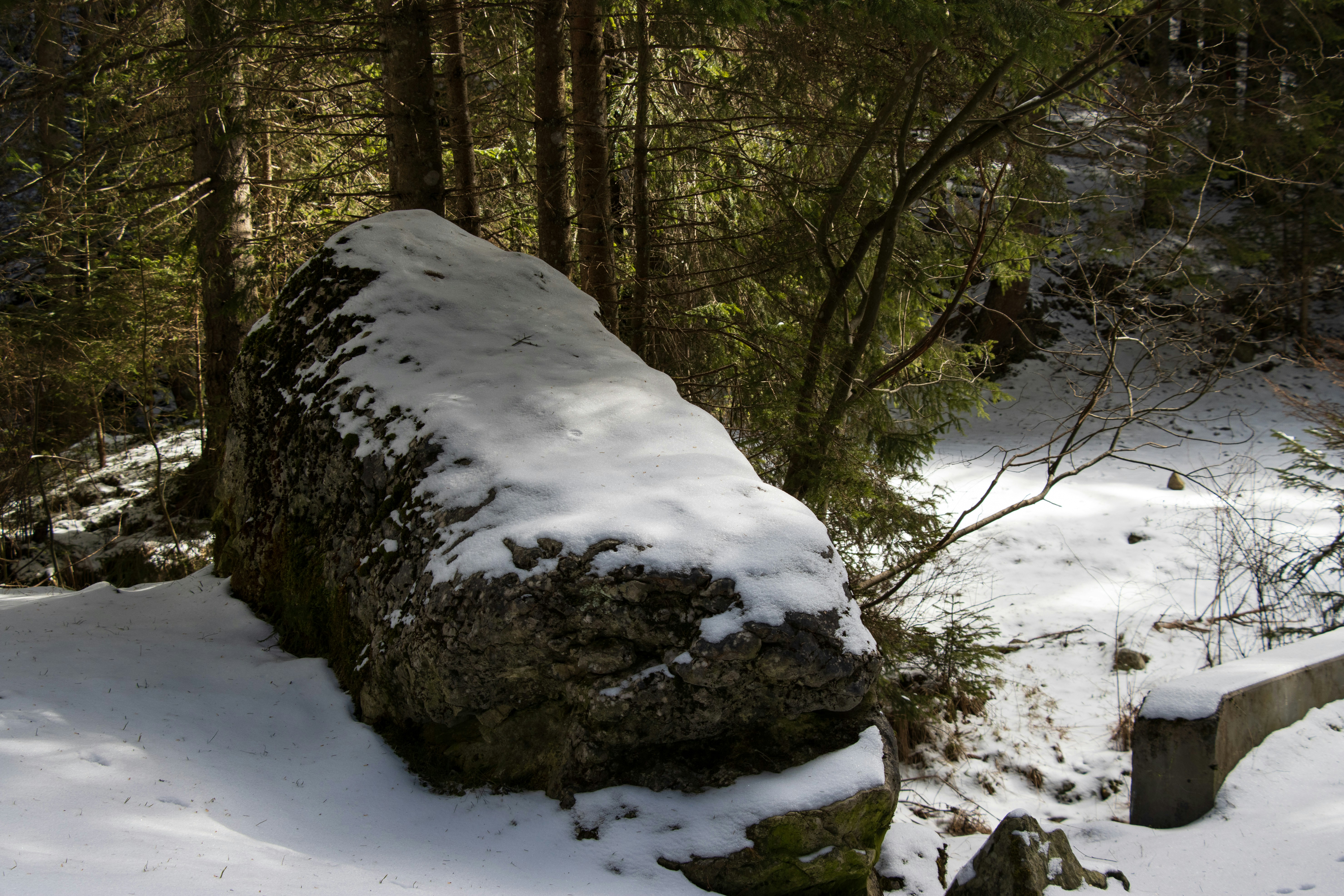 Photo by mechaowlstudios