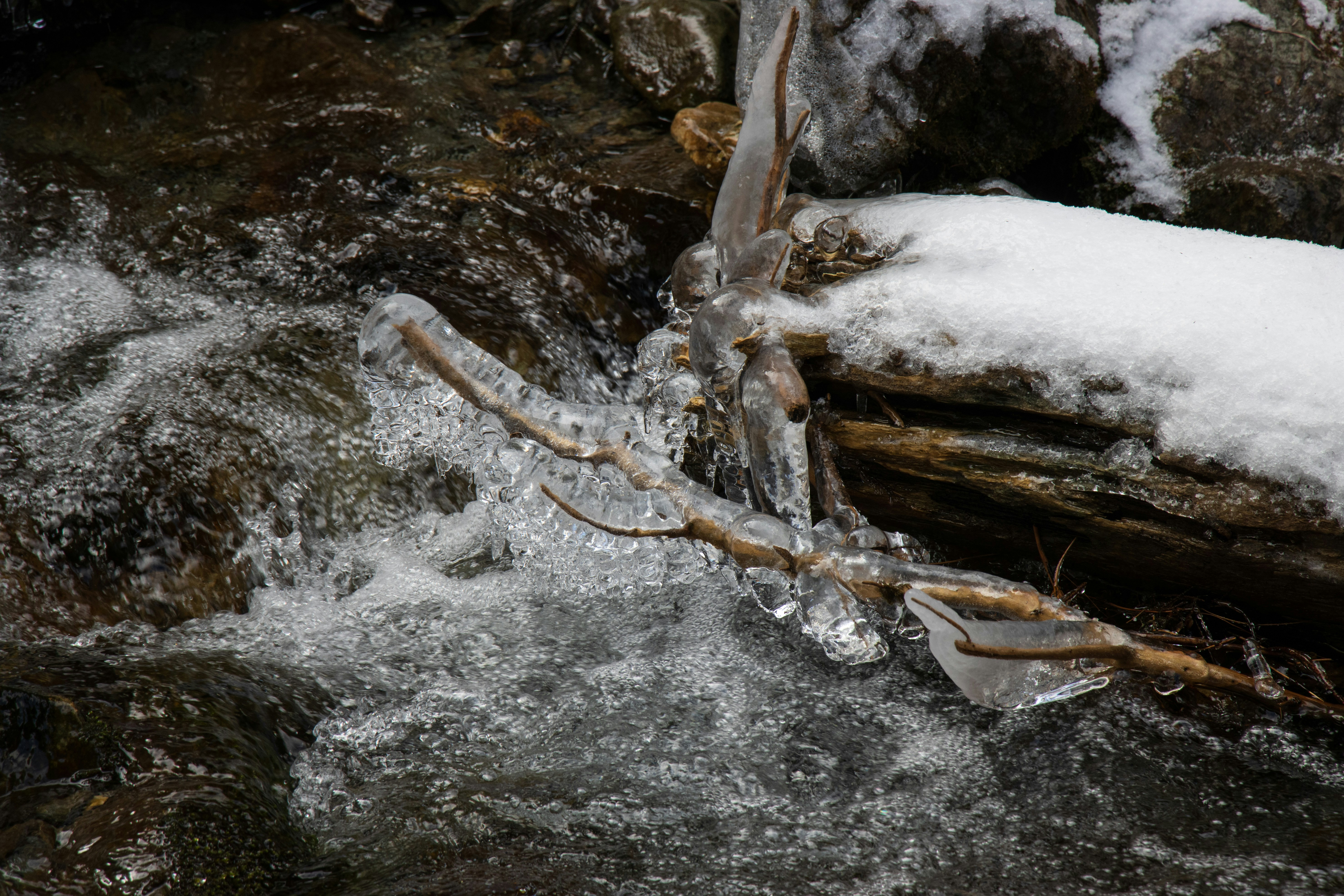 Photo by mechaowlstudios