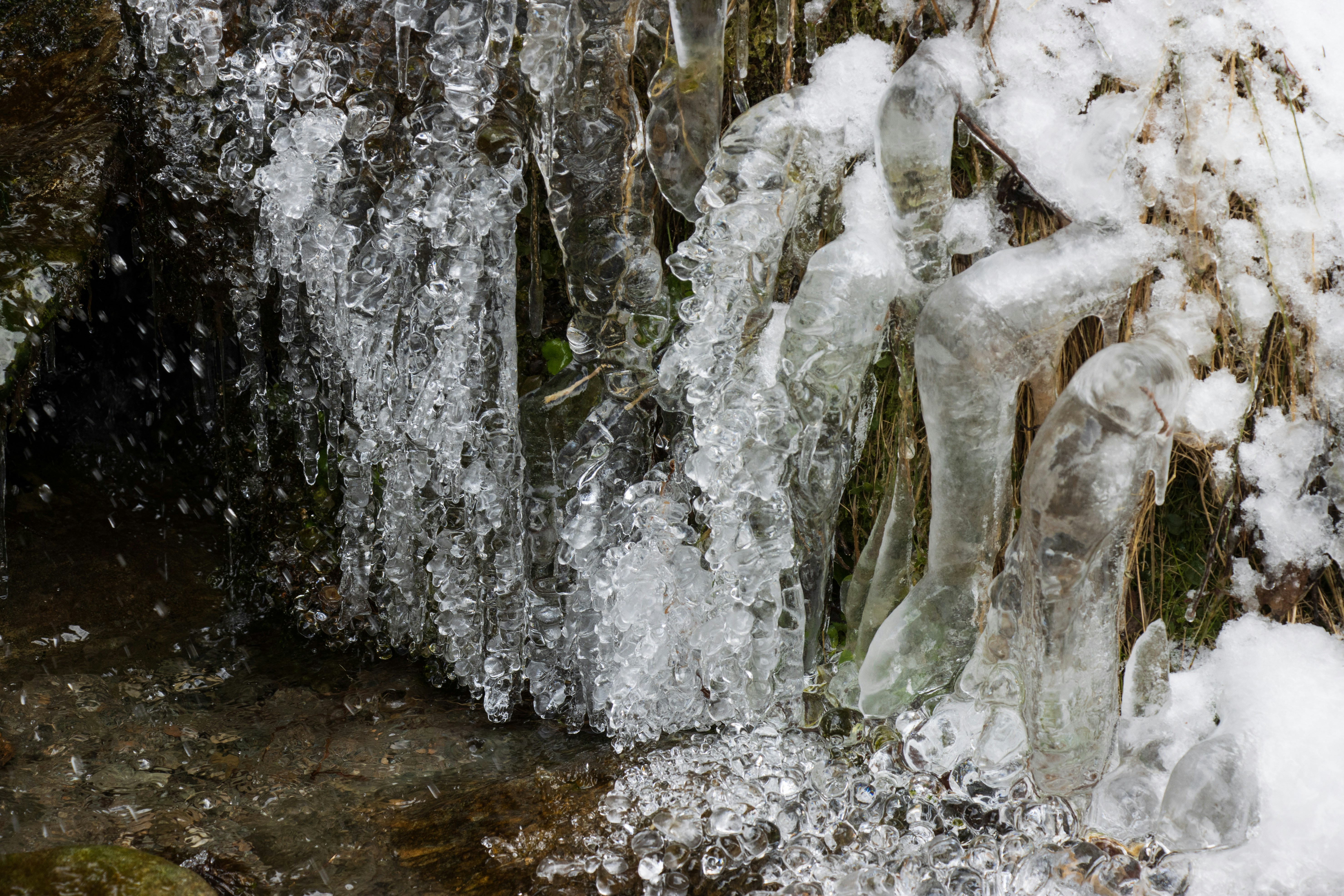 Photo by mechaowlstudios