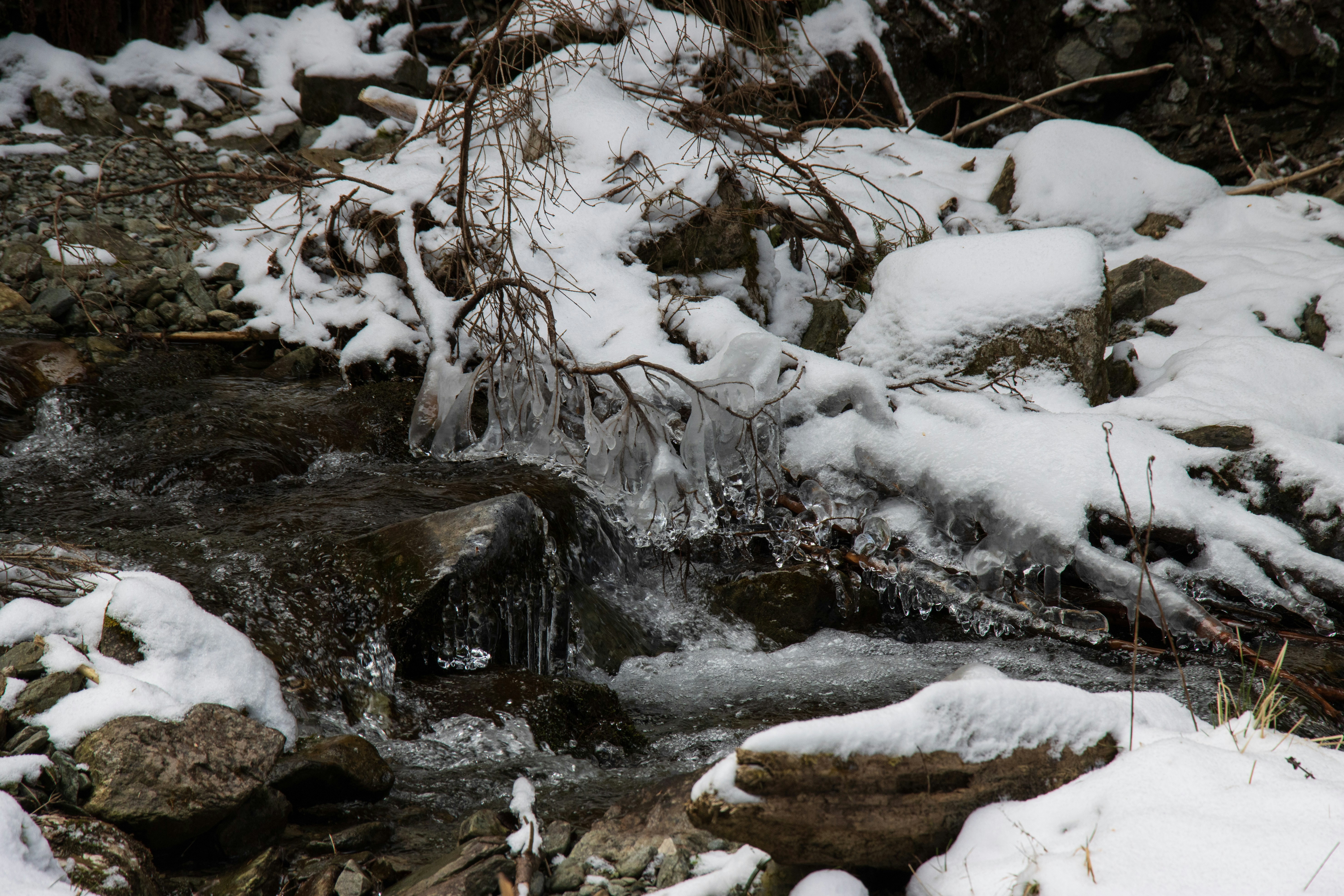 Photo by mechaowlstudios