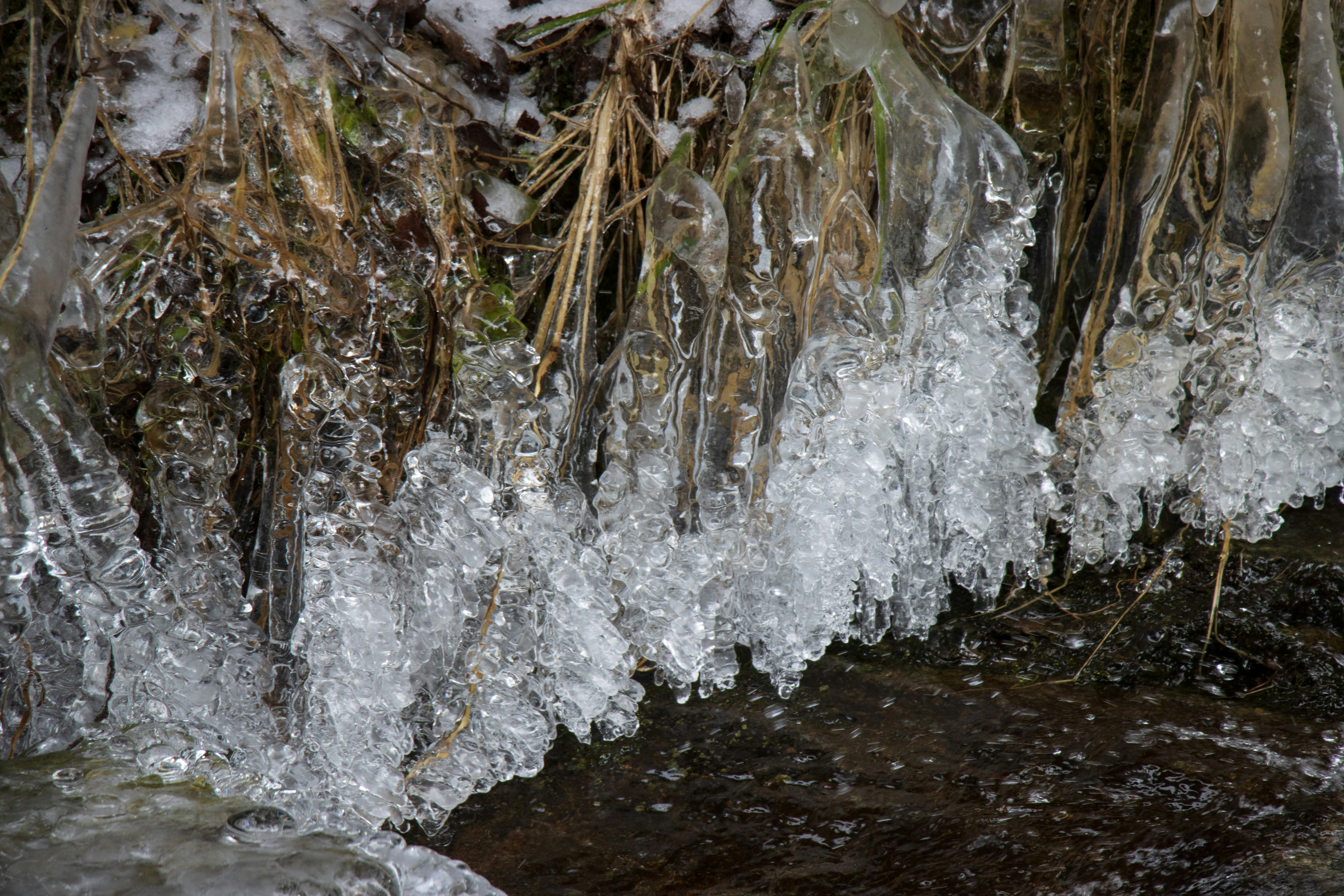 Photo by mechaowlstudios