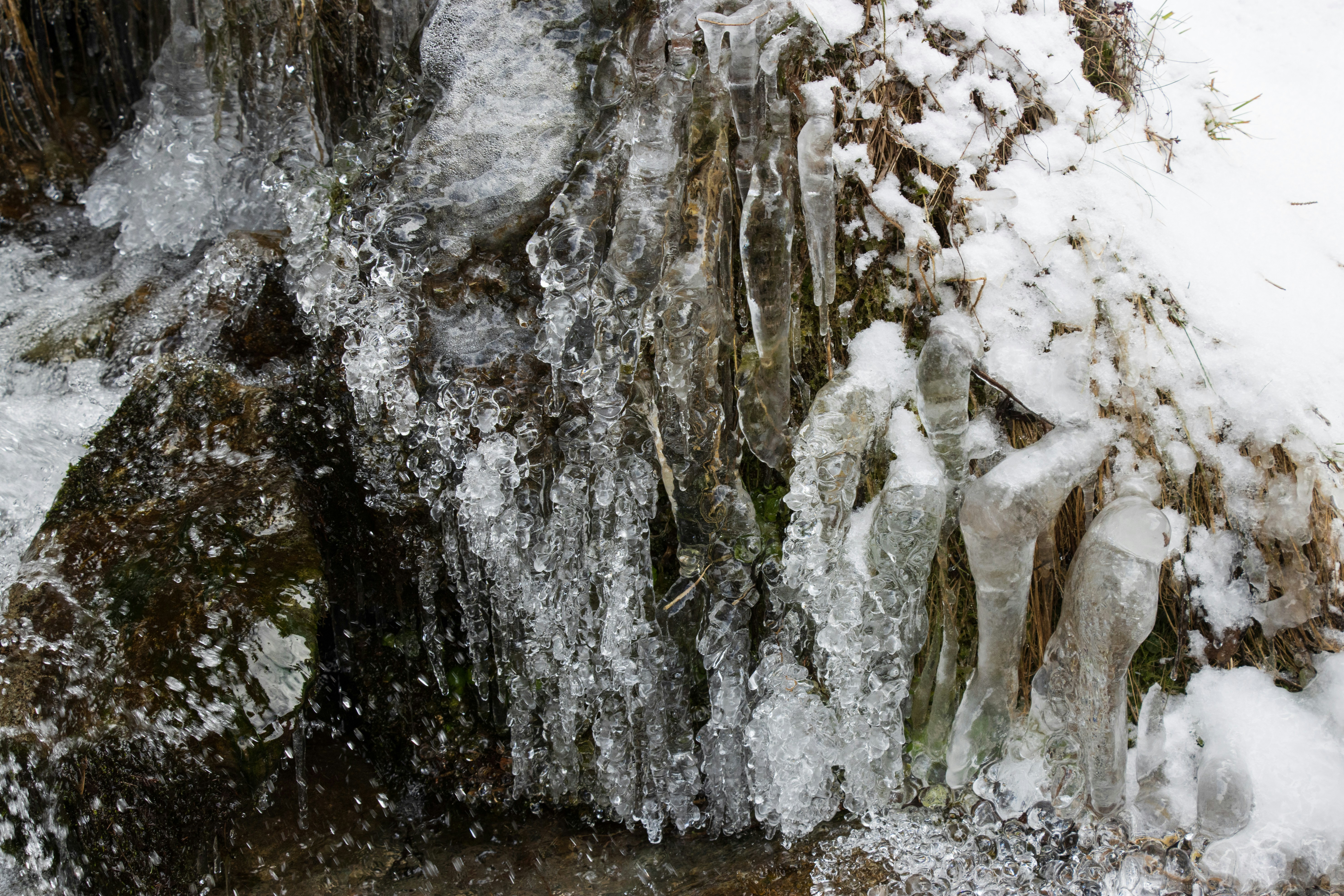 Photo by mechaowlstudios