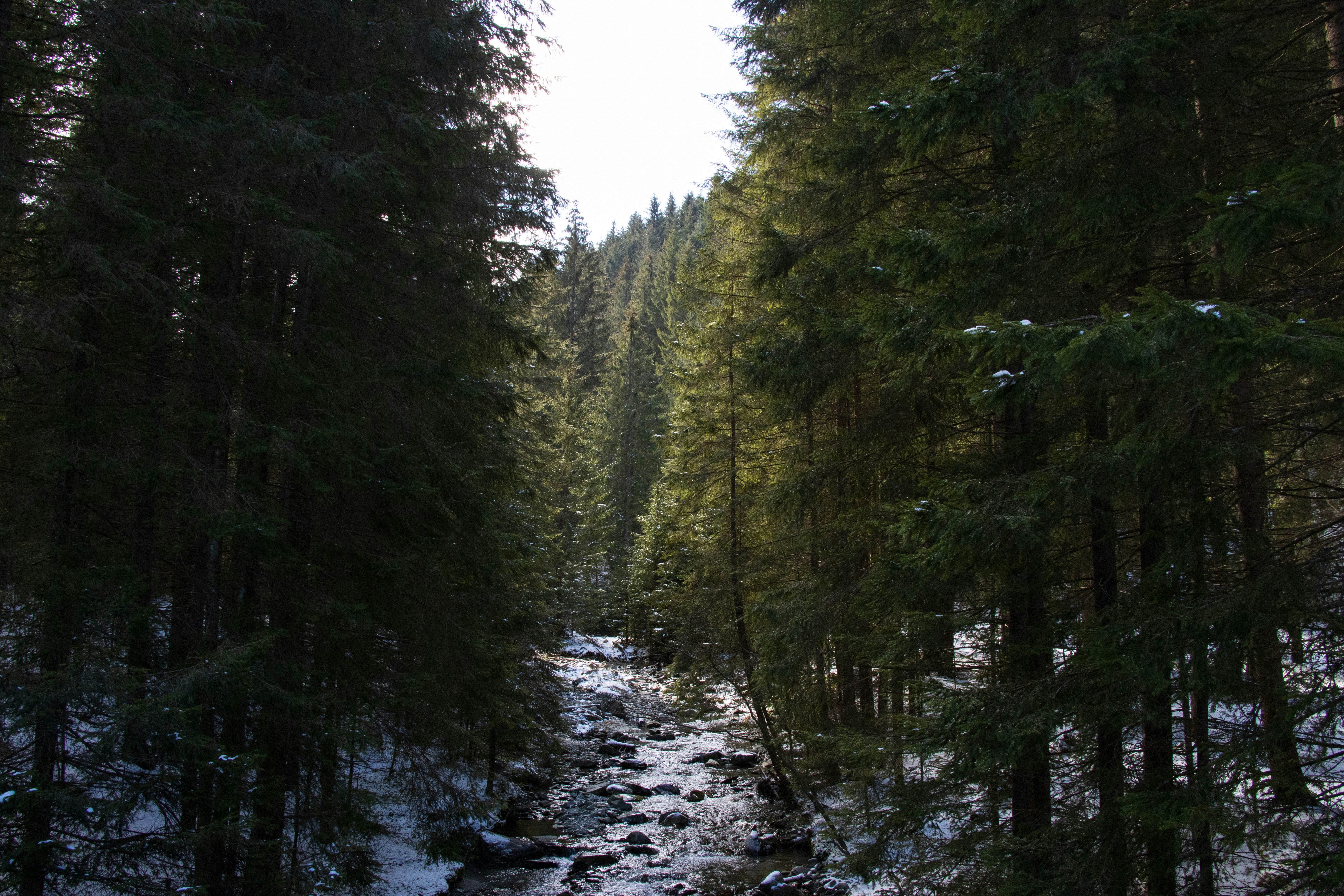 Photo by mechaowlstudios