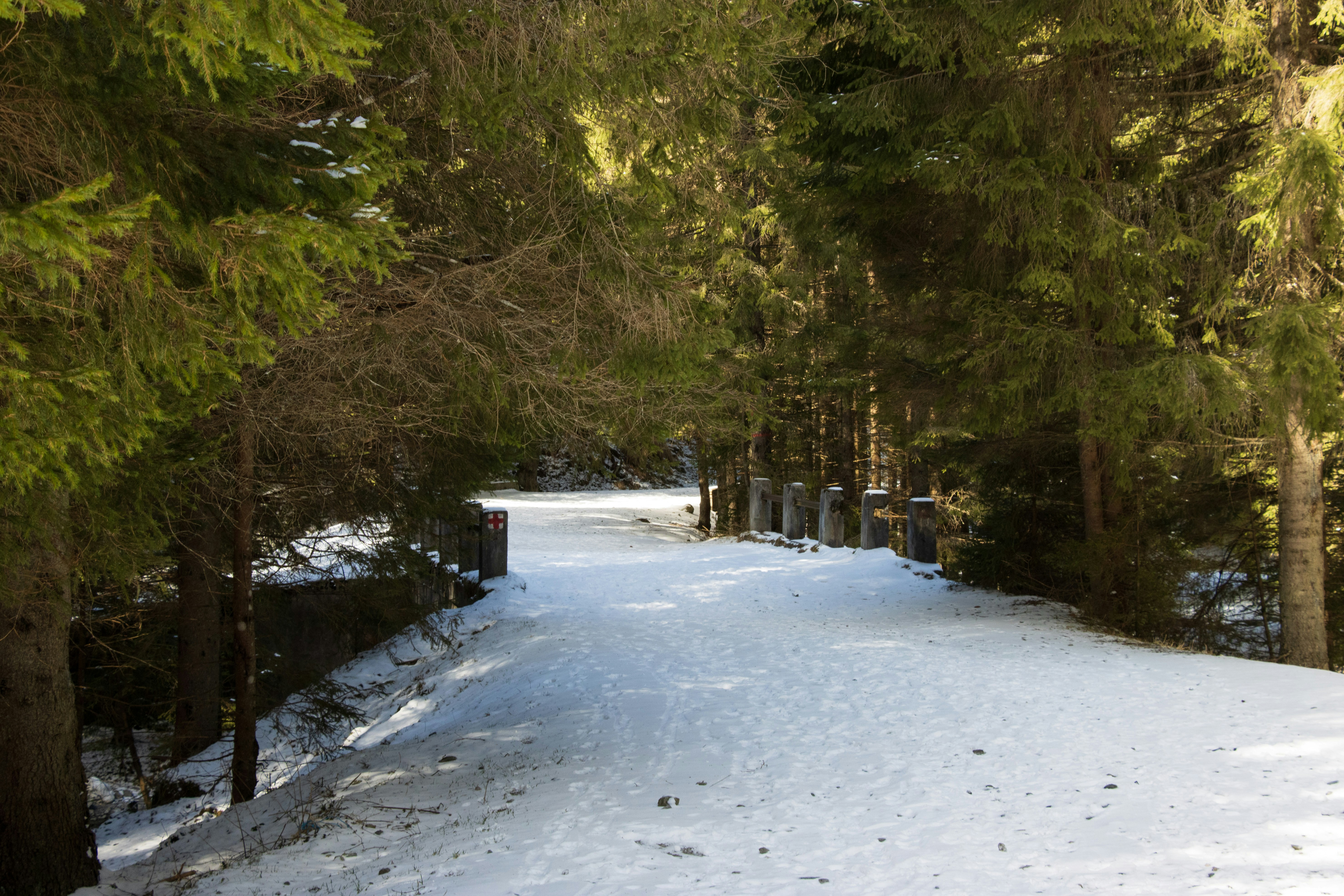 Photo by mechaowlstudios