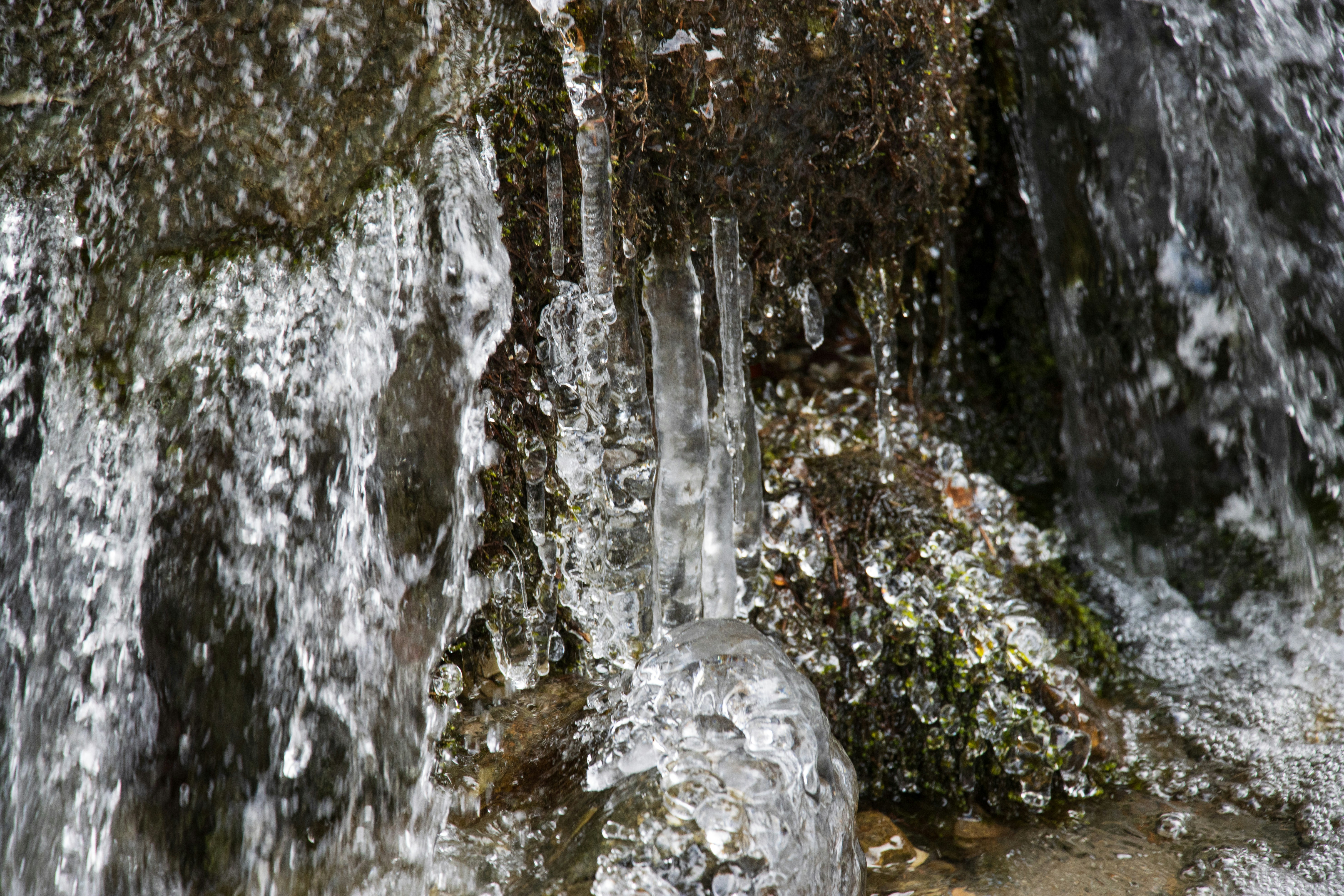 Photo by mechaowlstudios