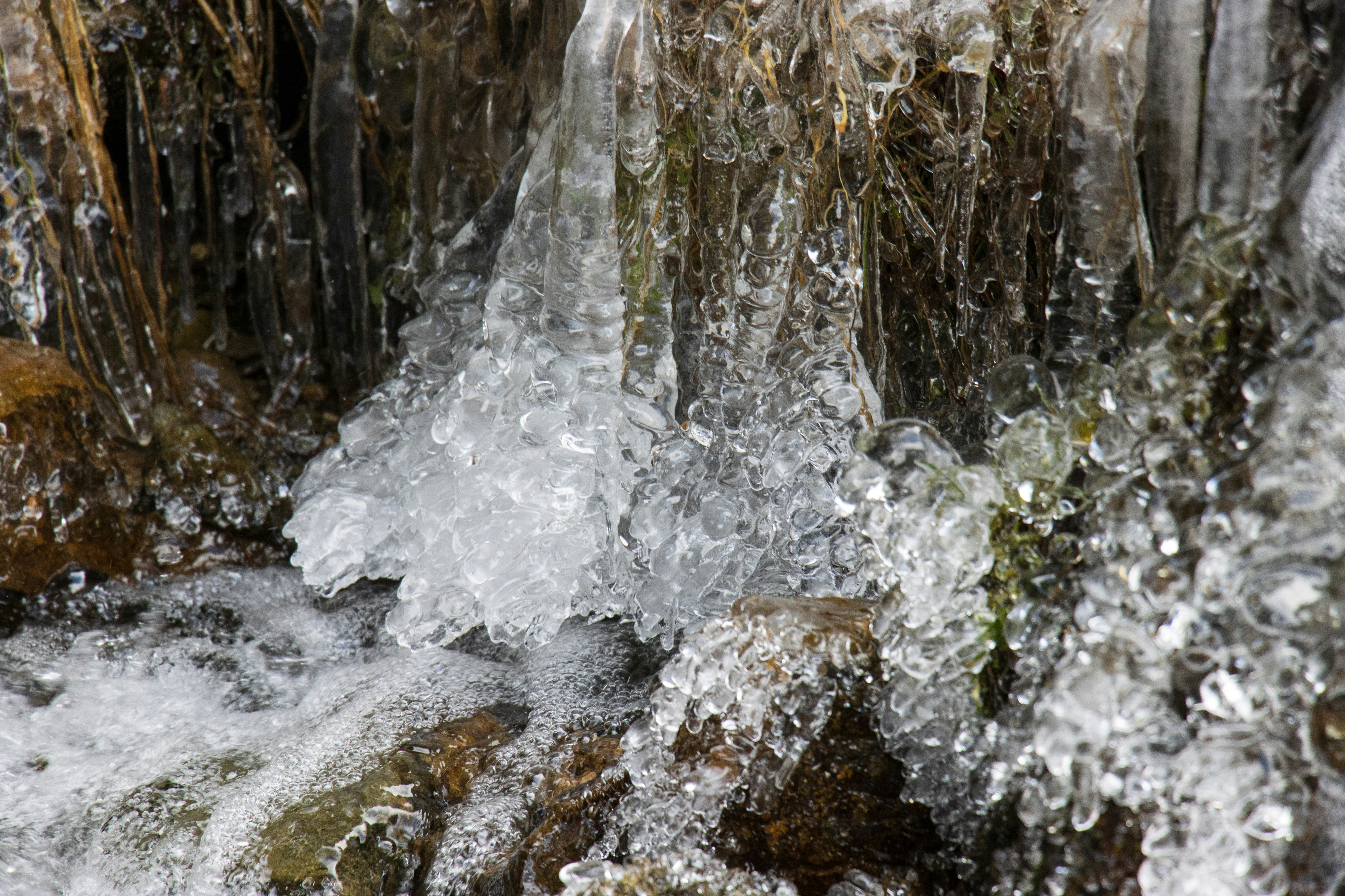 Photo by mechaowlstudios