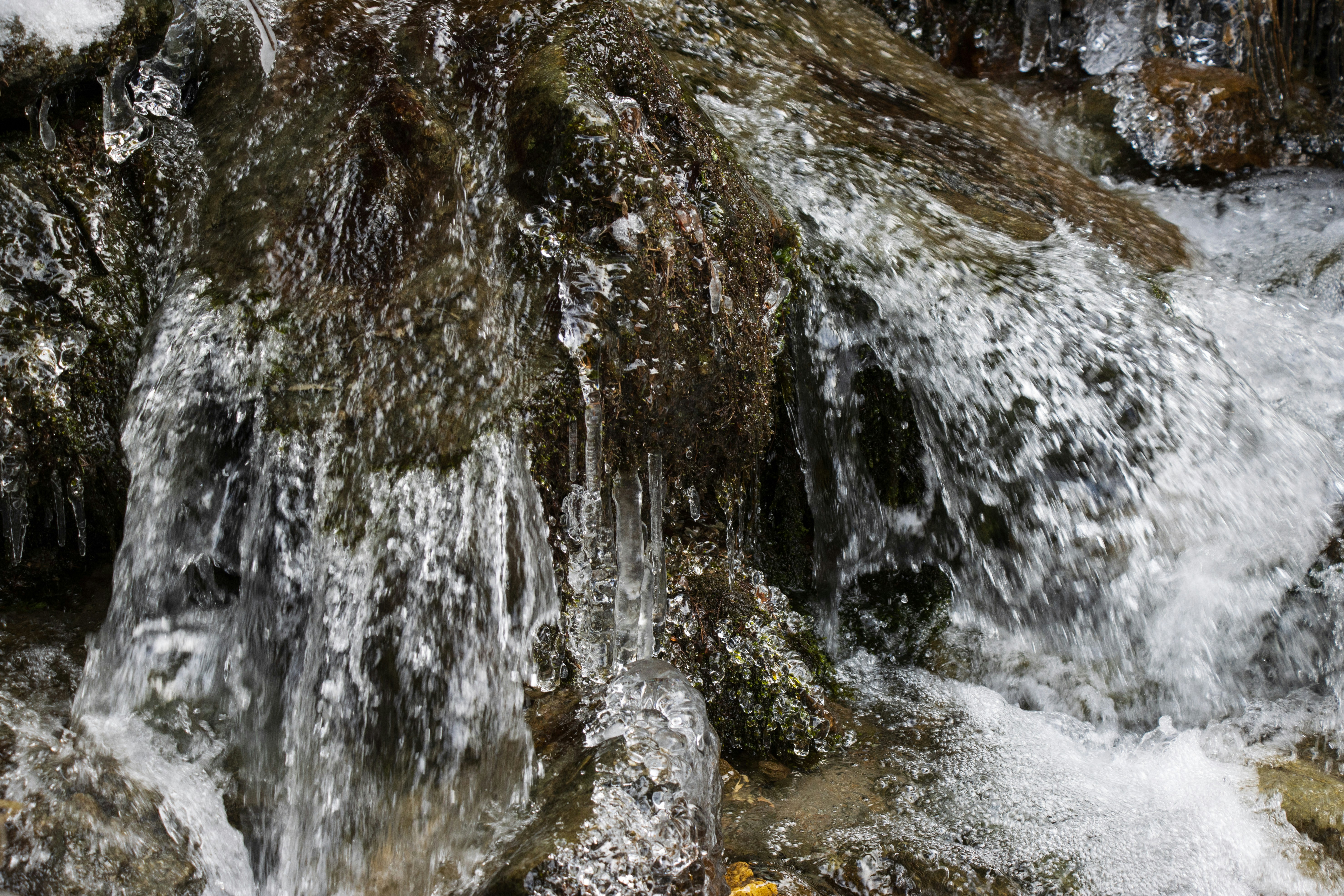 Photo by mechaowlstudios