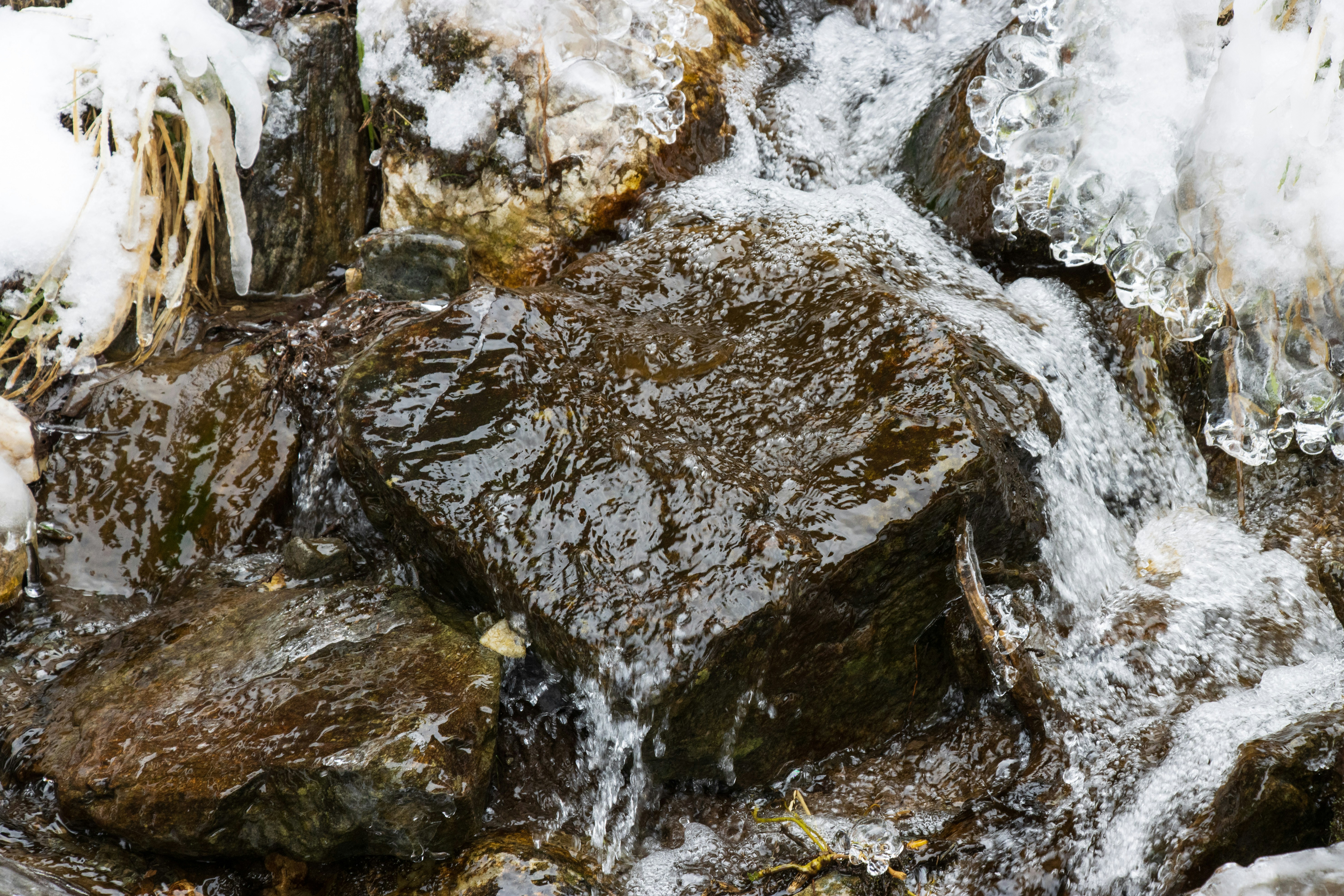 Photo by mechaowlstudios