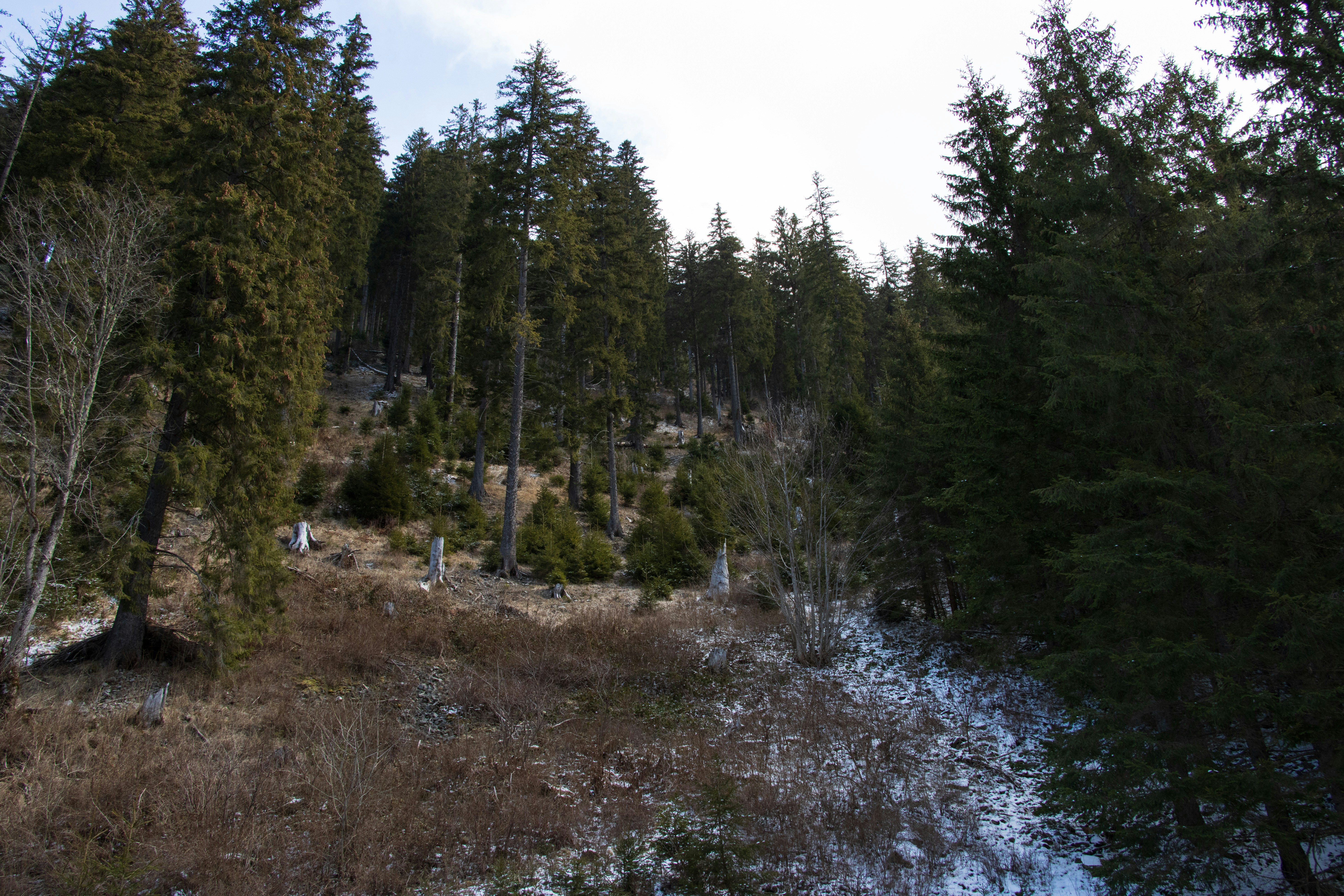 Photo by mechaowlstudios