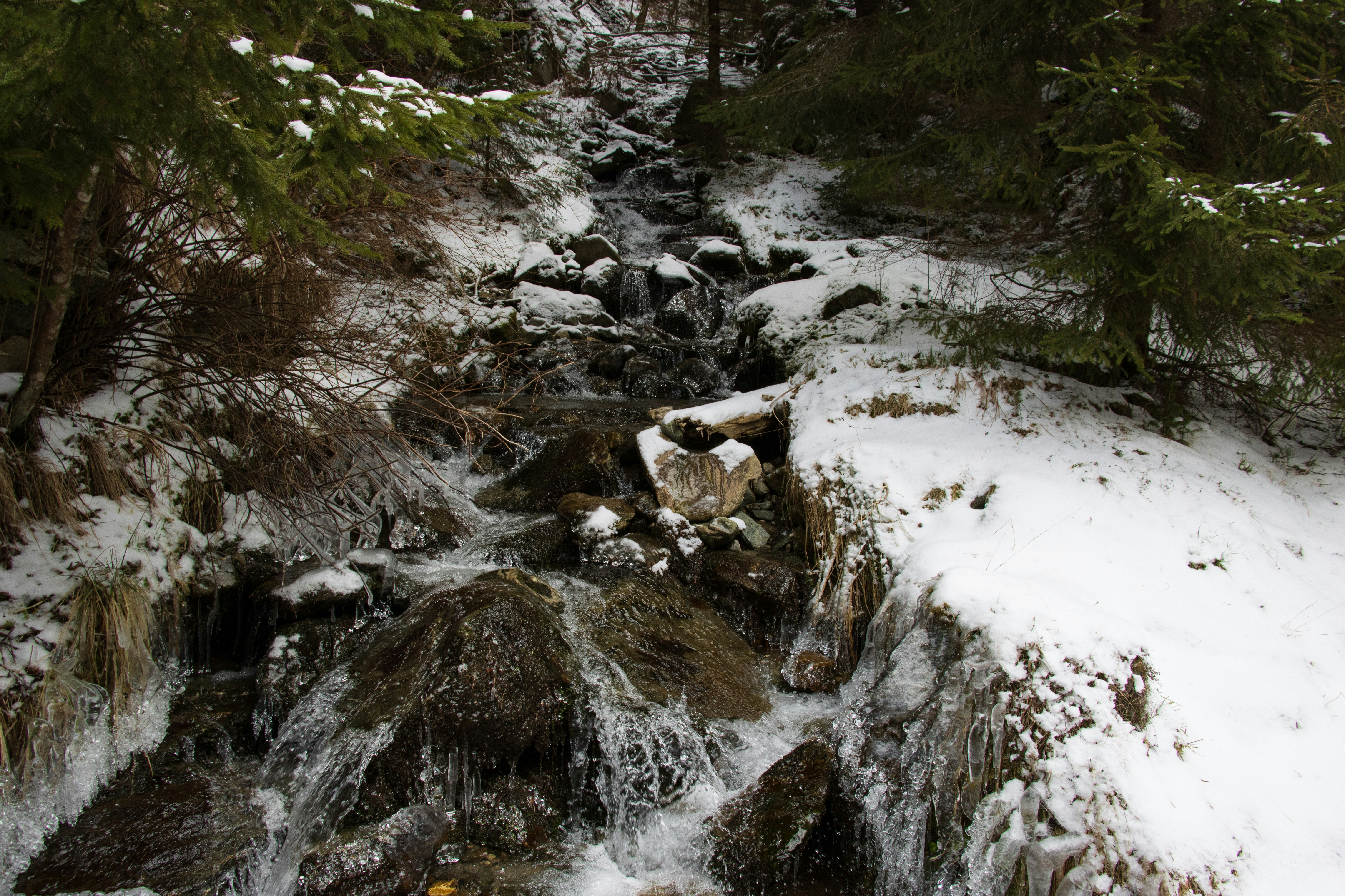 Photo by mechaowlstudios