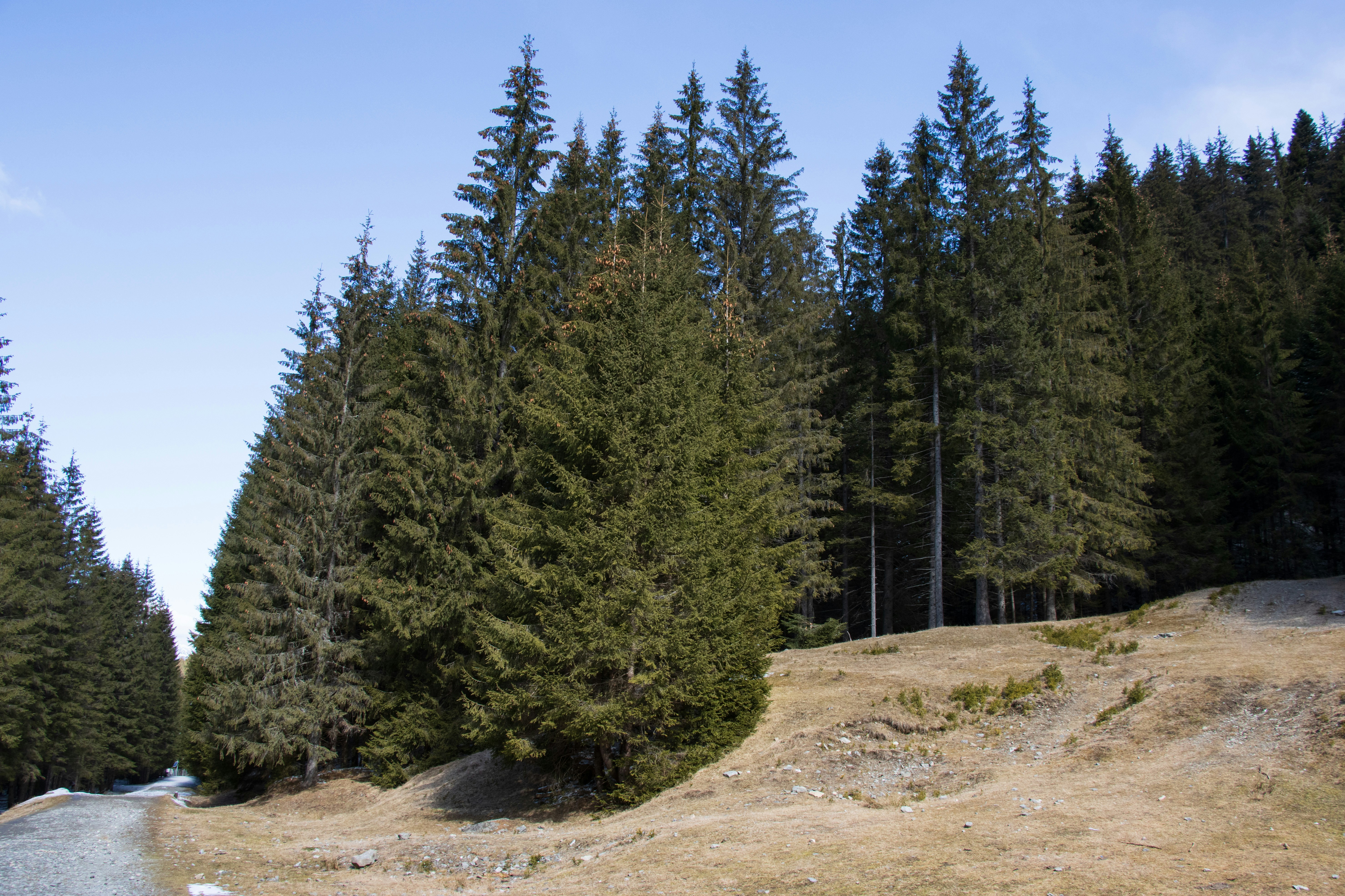 Photo by mechaowlstudios