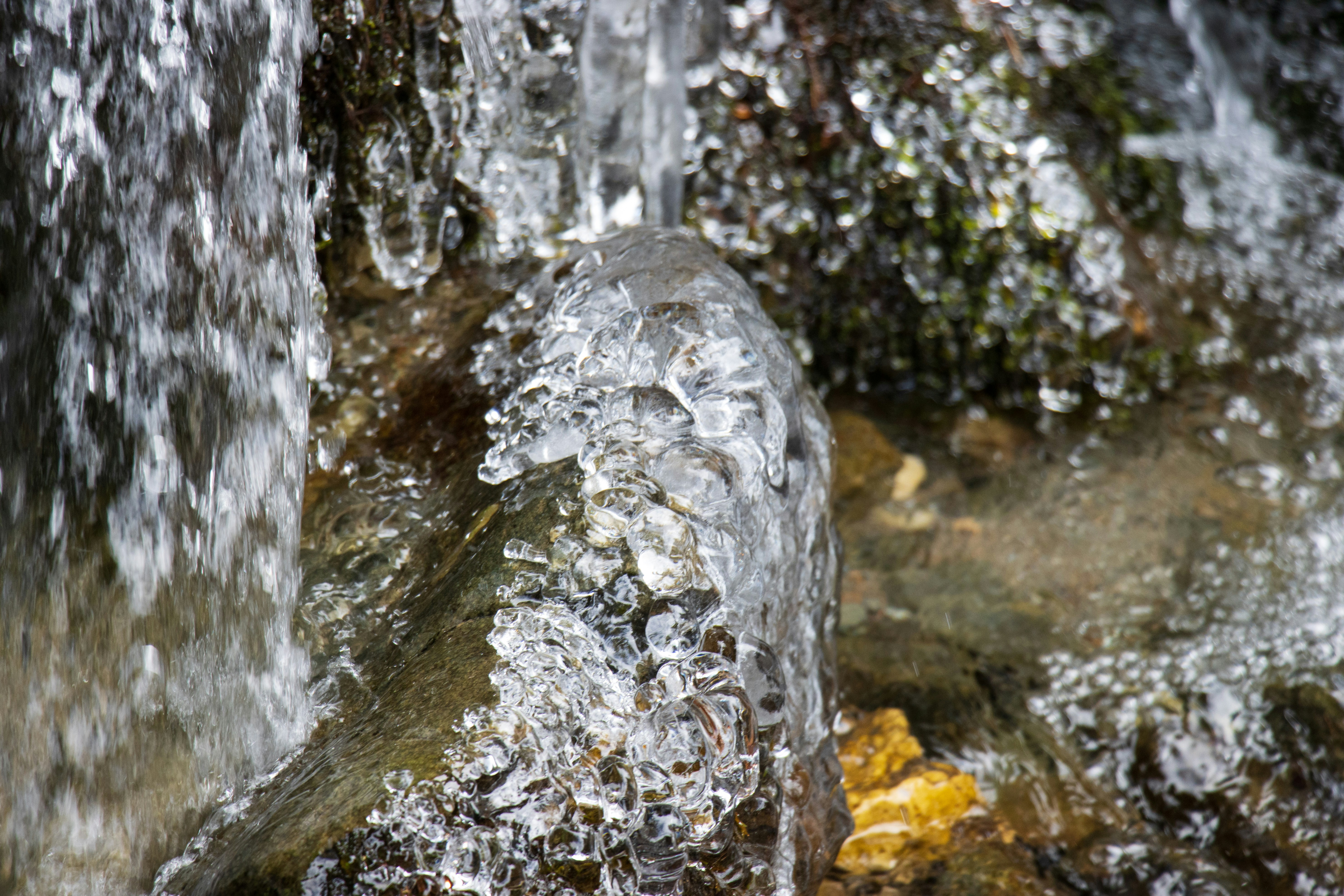 Photo by mechaowlstudios