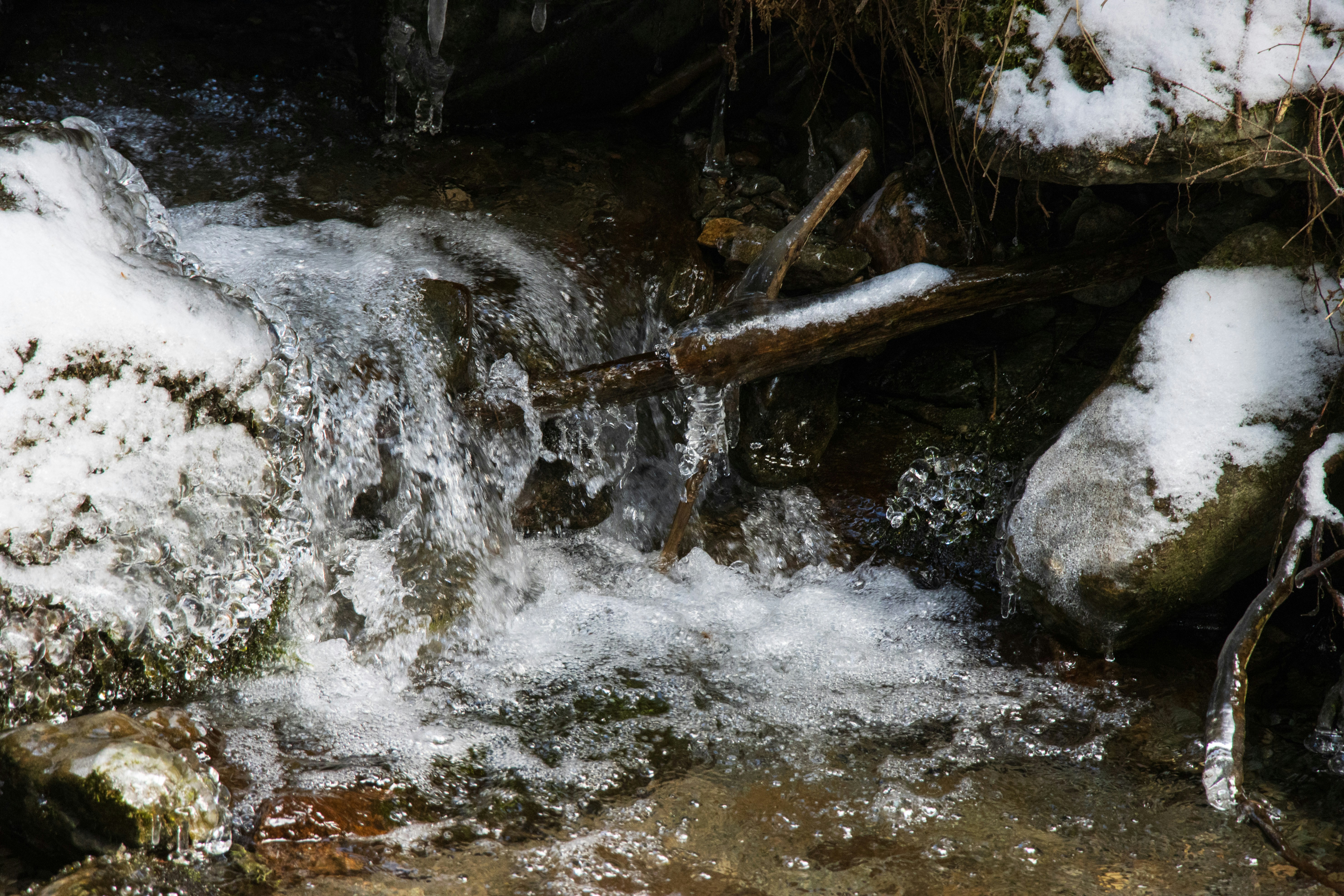 Photo by mechaowlstudios