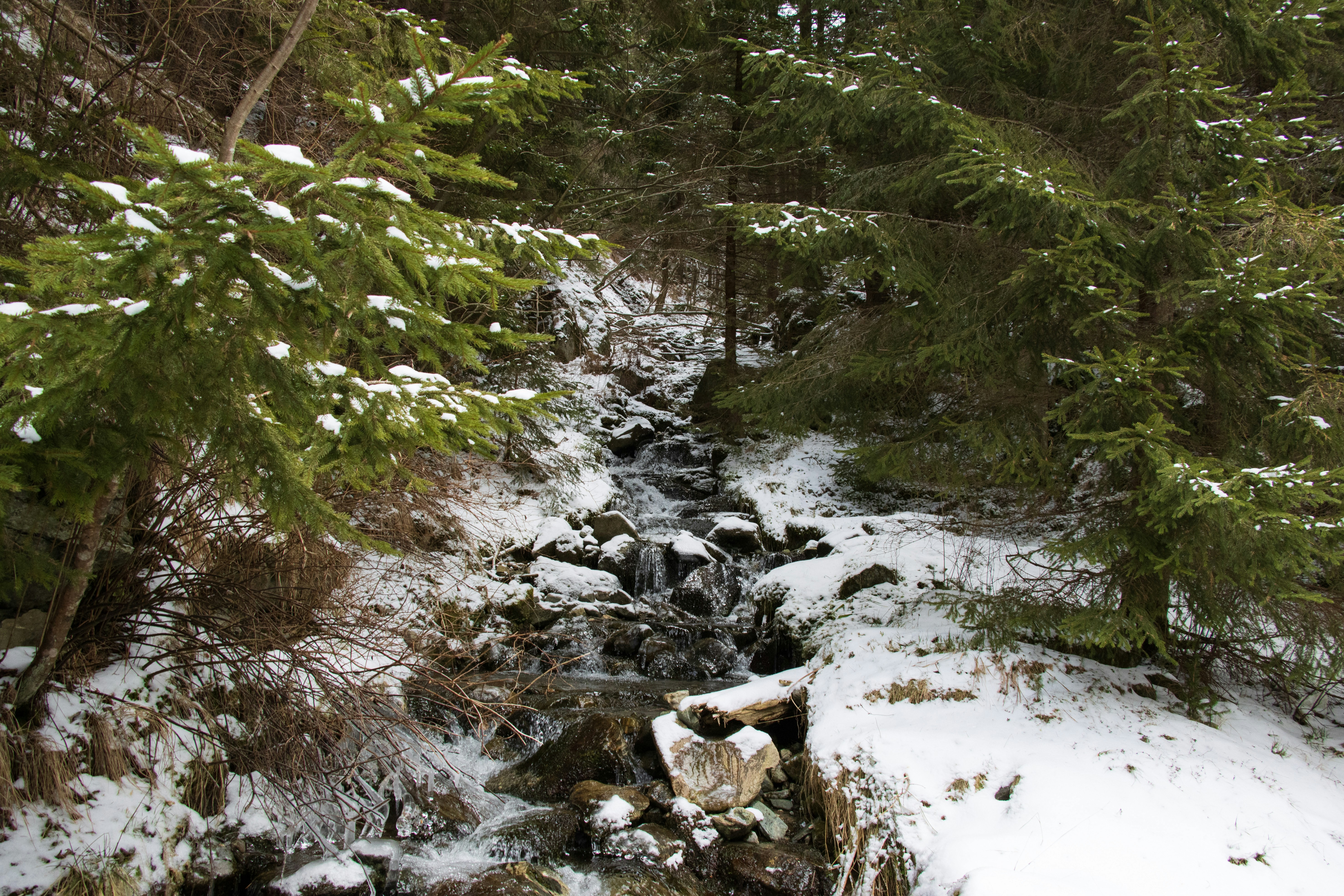 Photo by mechaowlstudios