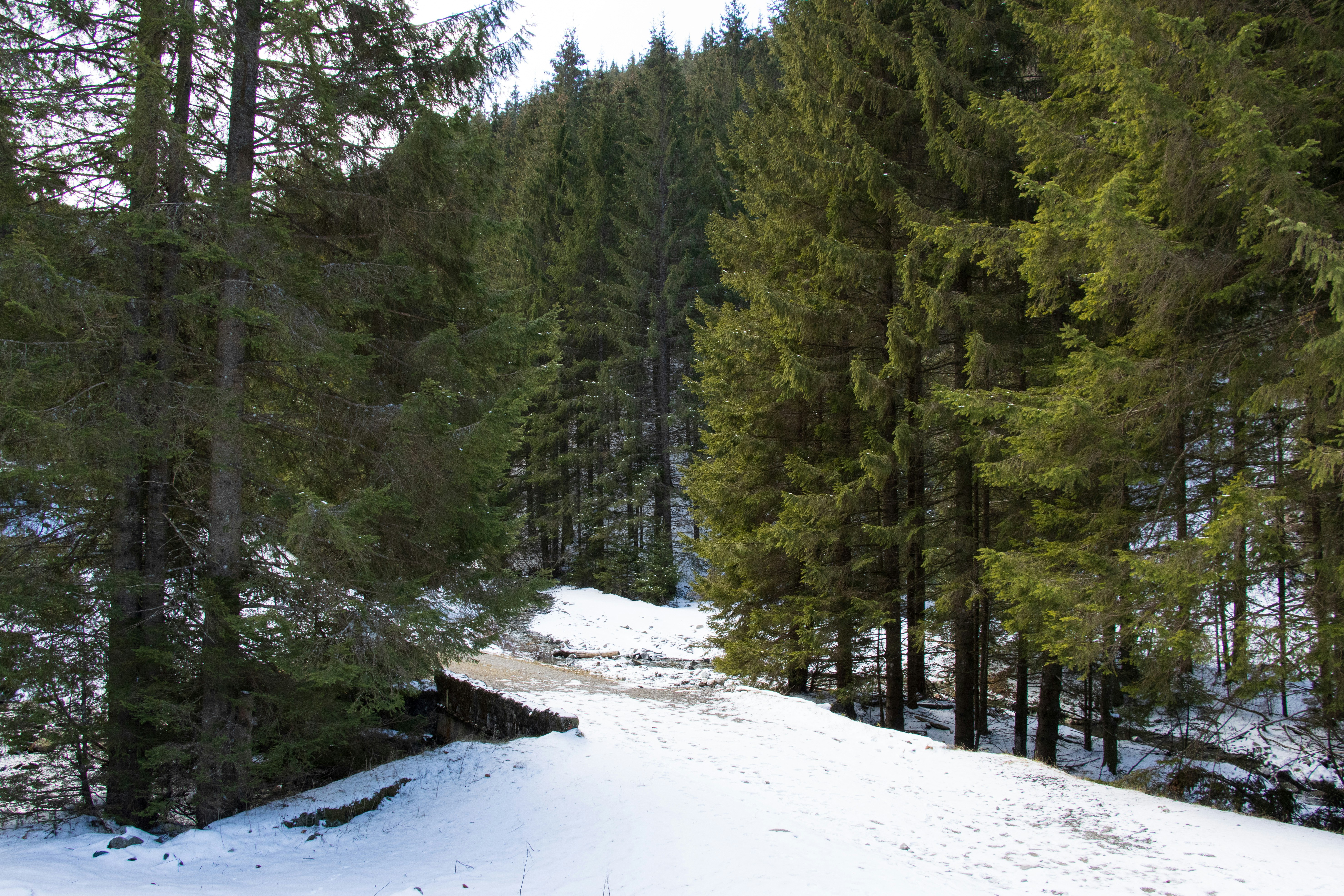 Photo by mechaowlstudios