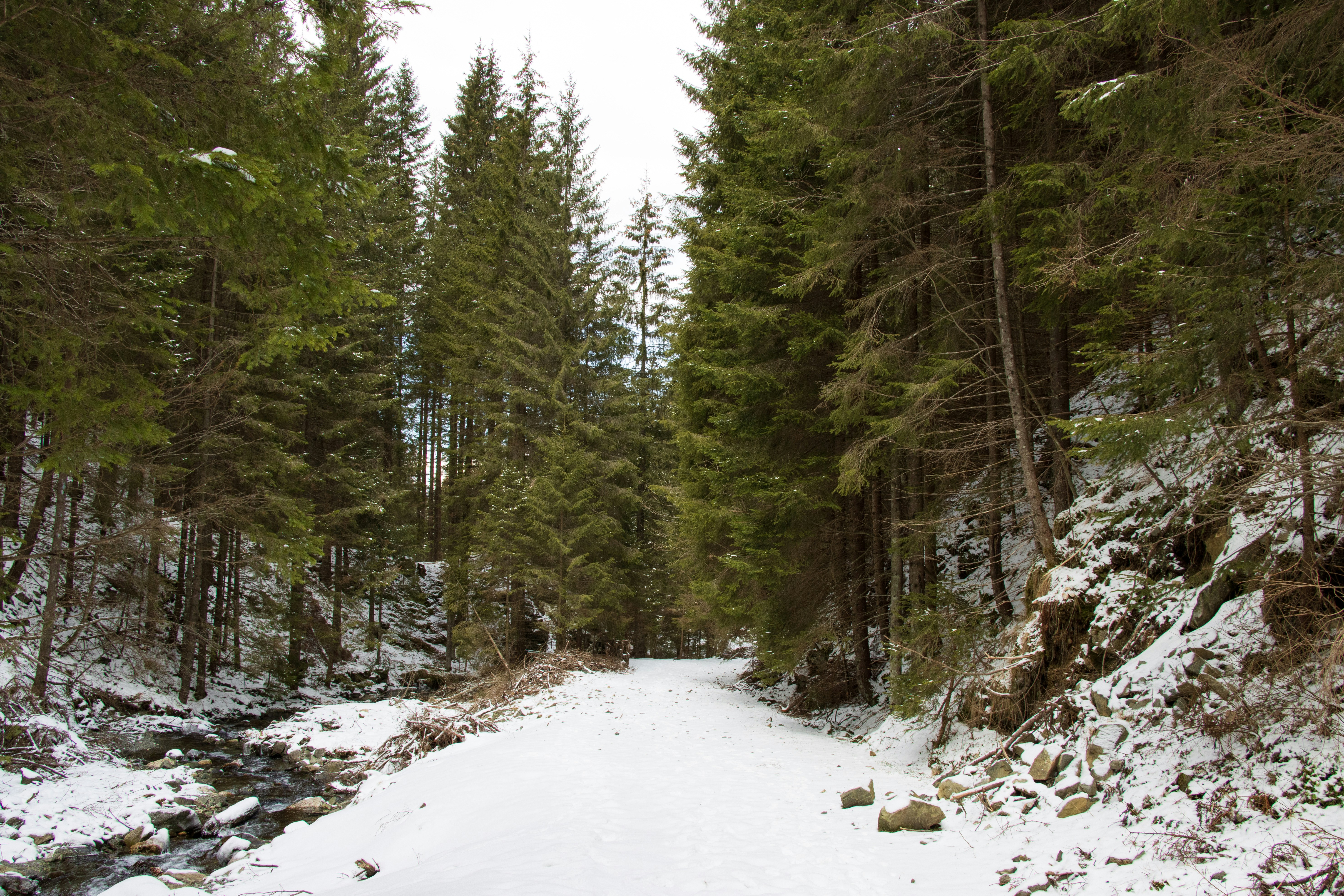 Photo by mechaowlstudios