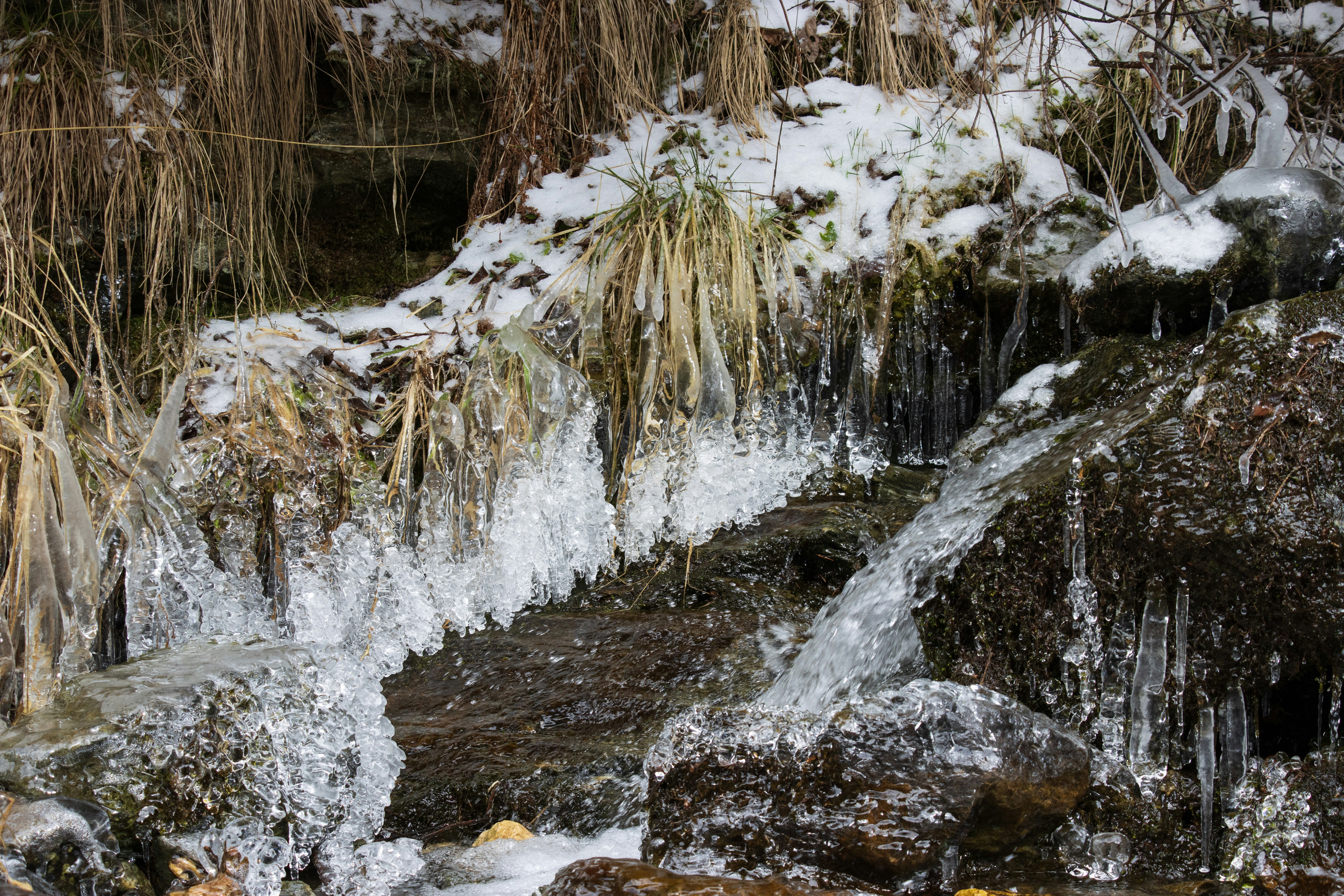 Photo by mechaowlstudios