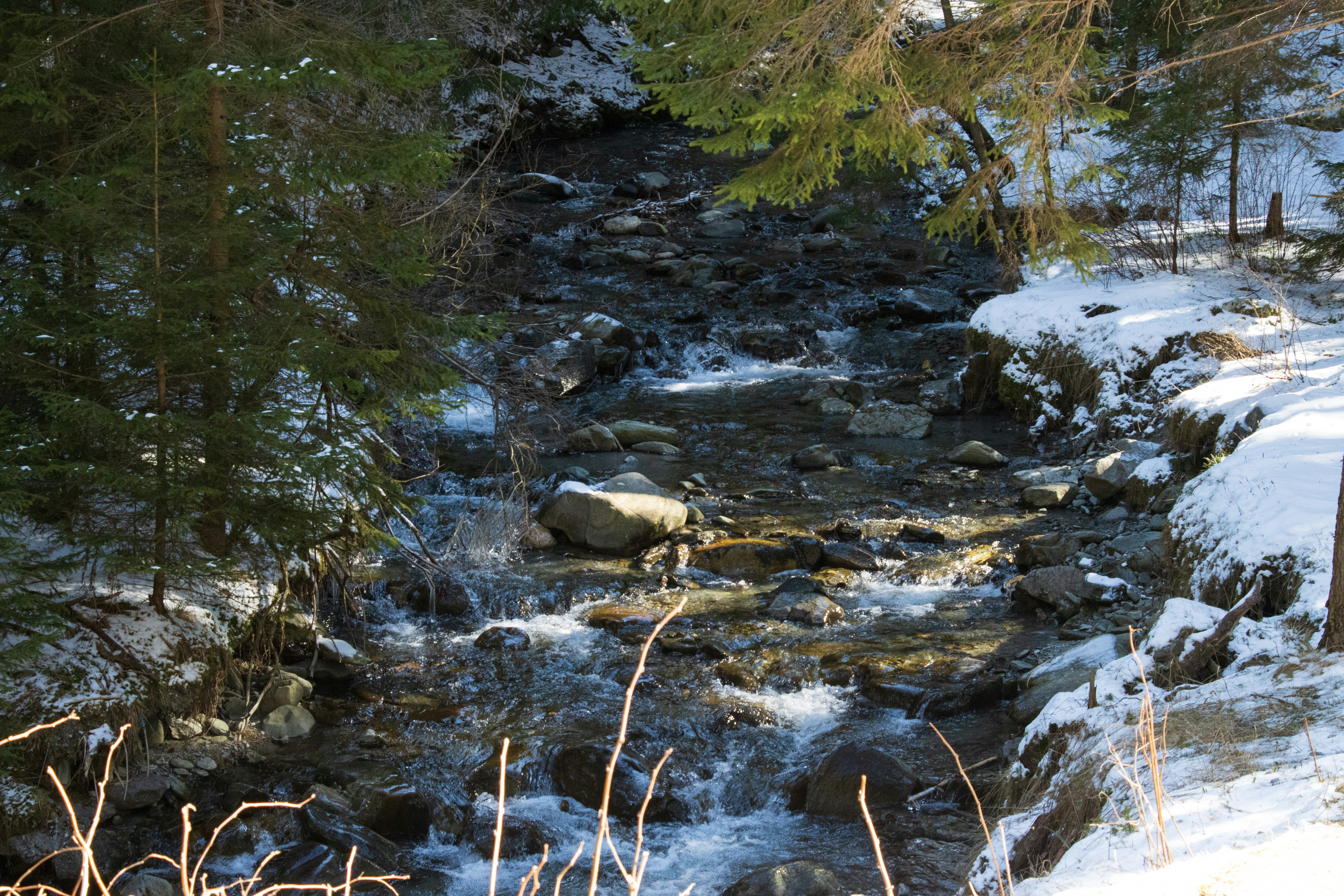 Photo by mechaowlstudios