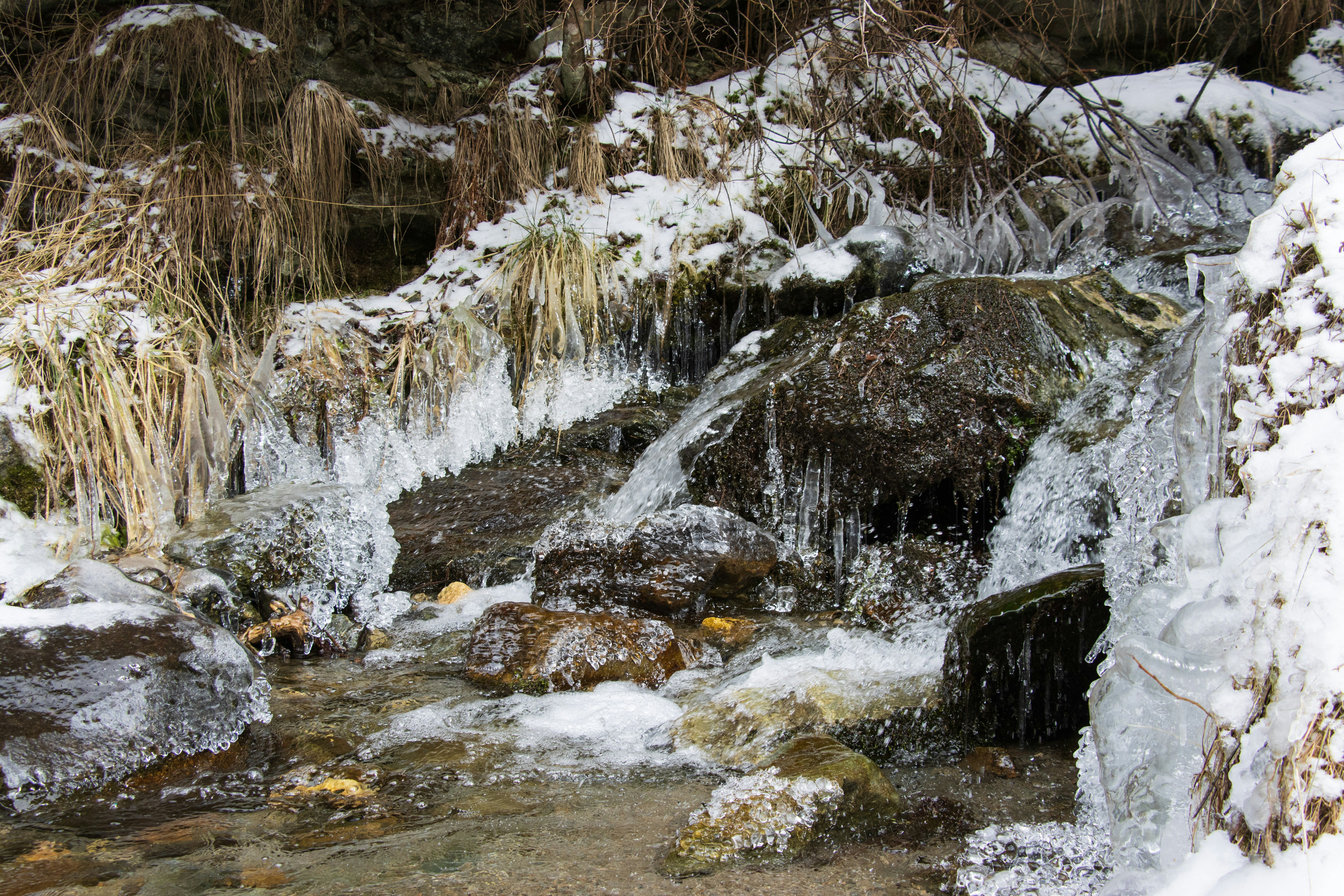 Photo by mechaowlstudios