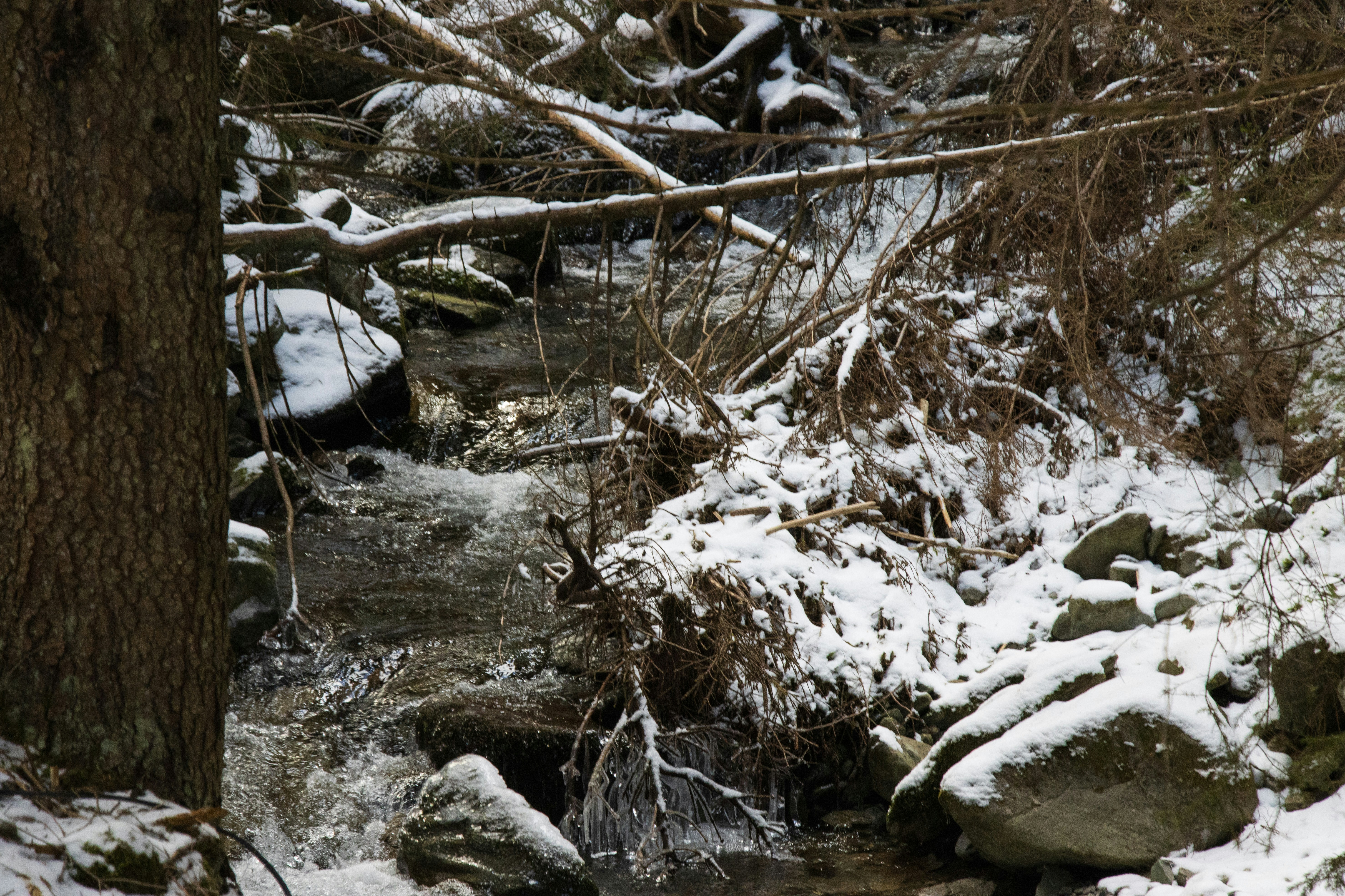 Photo by mechaowlstudios